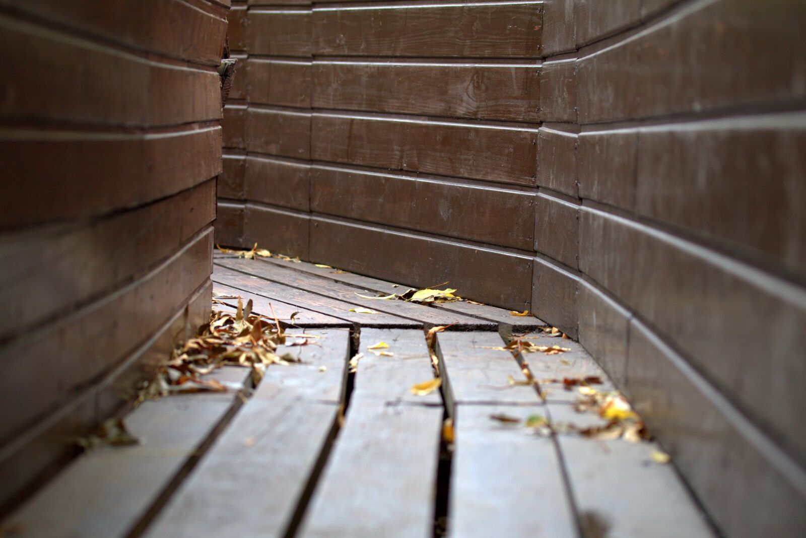 Canon EF-S 60mm F2.8 Macro USM sample photo. Road, geomatrie, cramped photography