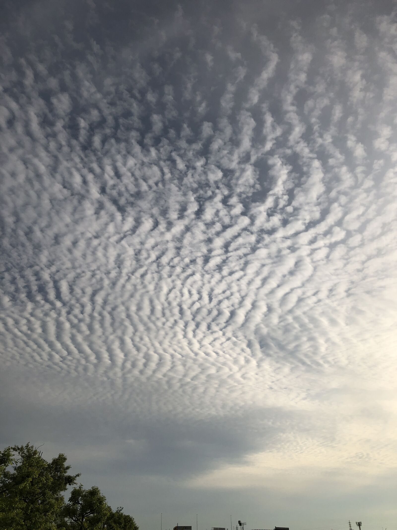 Apple iPhone 8 sample photo. Sky, cloud, cirrocumulus photography
