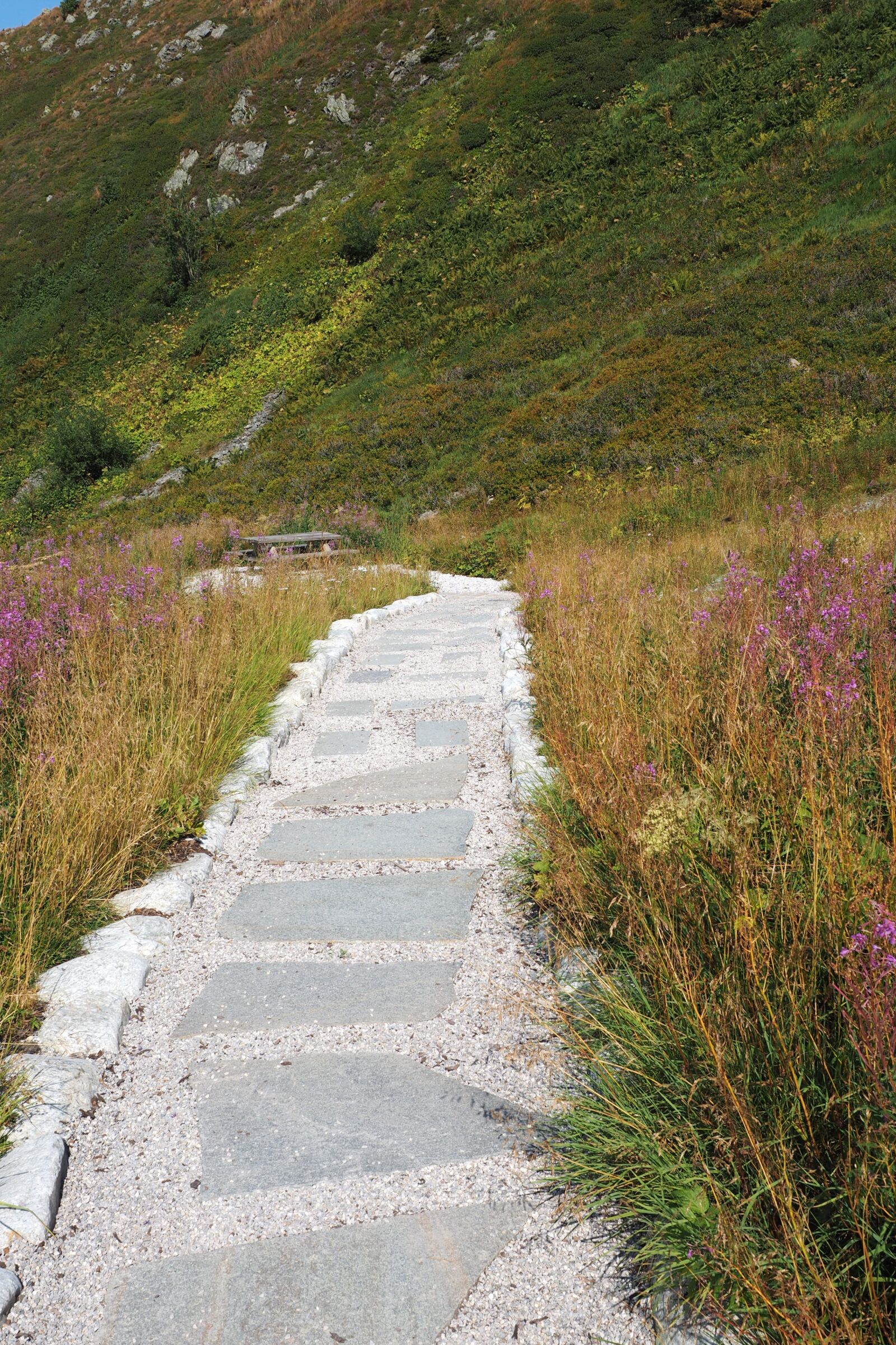 Olympus OM-D E-M1 + Olympus M.Zuiko Digital ED 12-40mm F2.8 Pro sample photo. Path, tourism, mountains photography