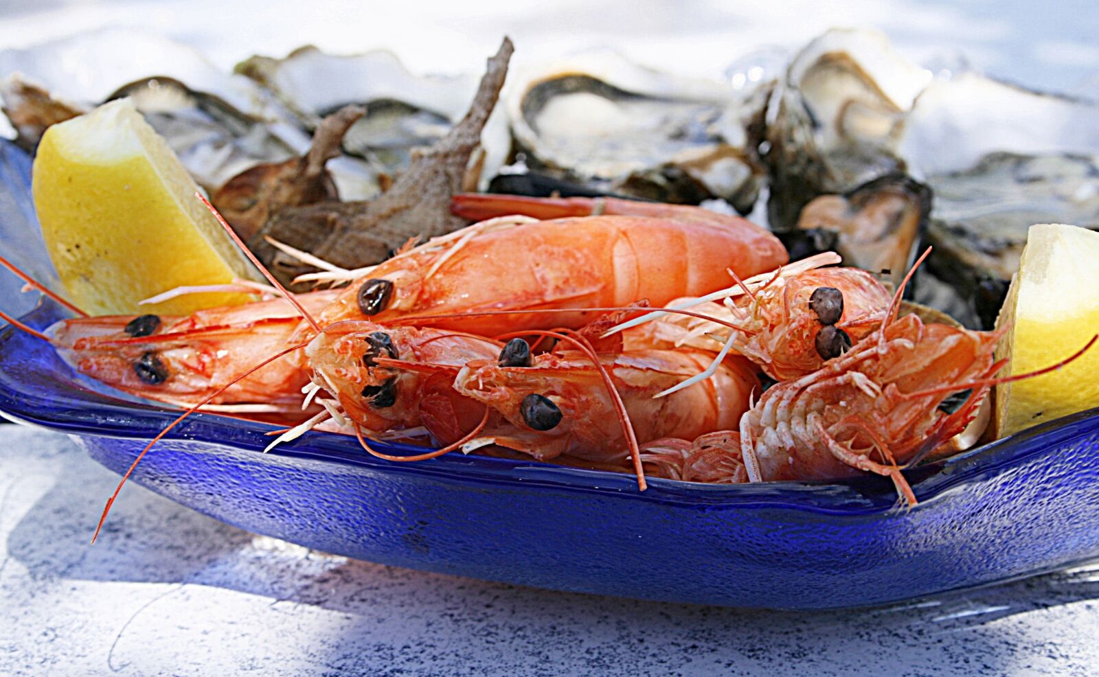 Canon EOS 400D (EOS Digital Rebel XTi / EOS Kiss Digital X) sample photo. Shrimp, oyster, seafood photography
