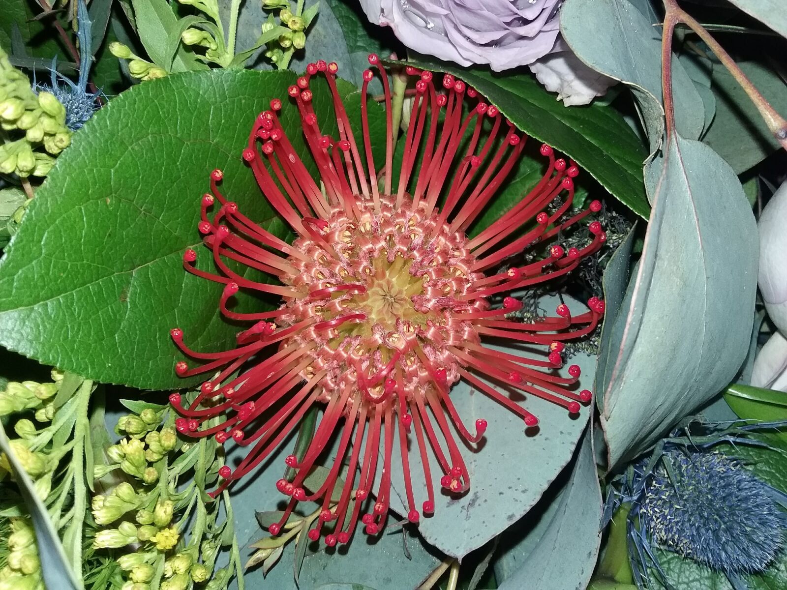 Samsung Galaxy J3(2016) sample photo
