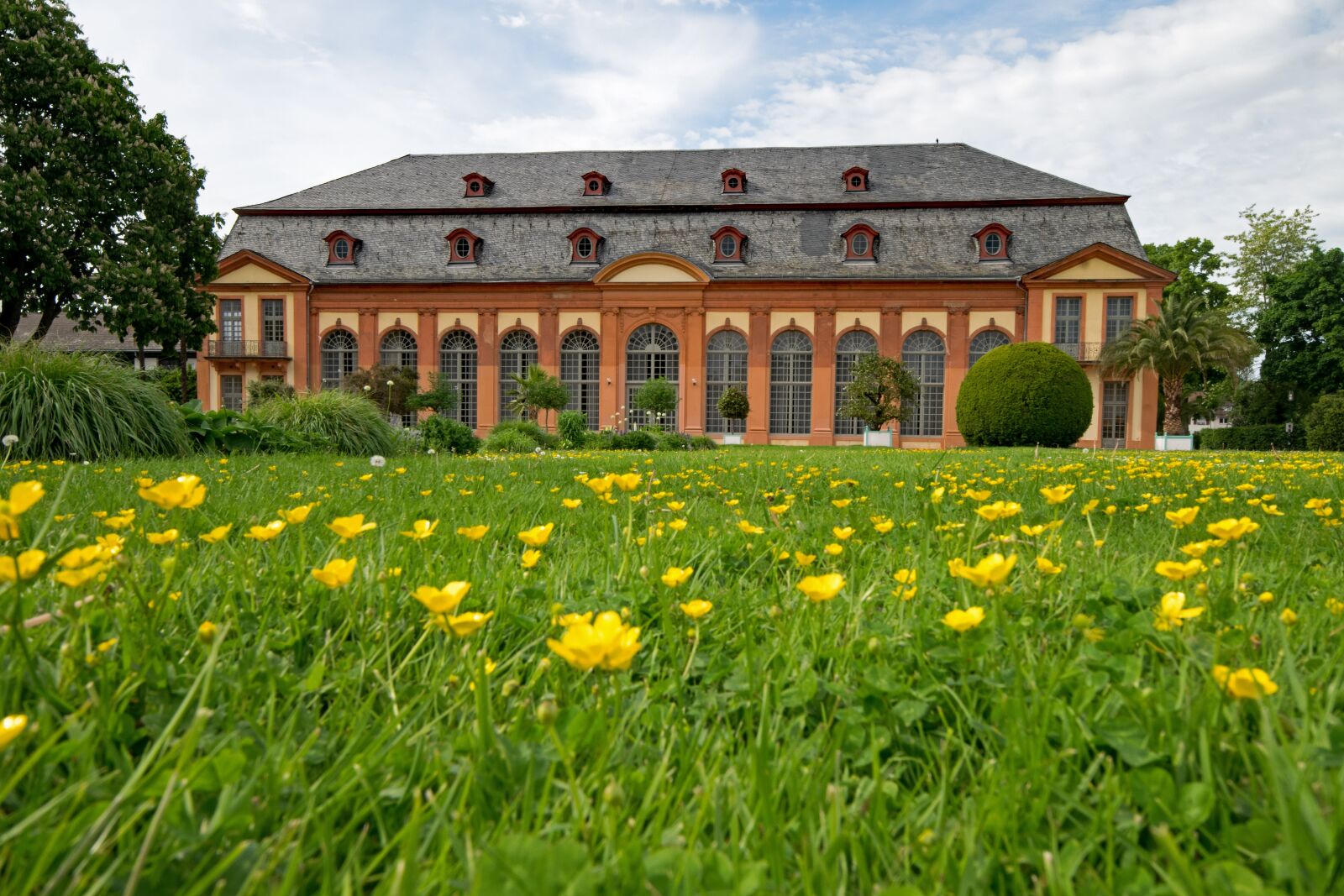 Nikon D5300 sample photo. Orangery, architecture, spring photography