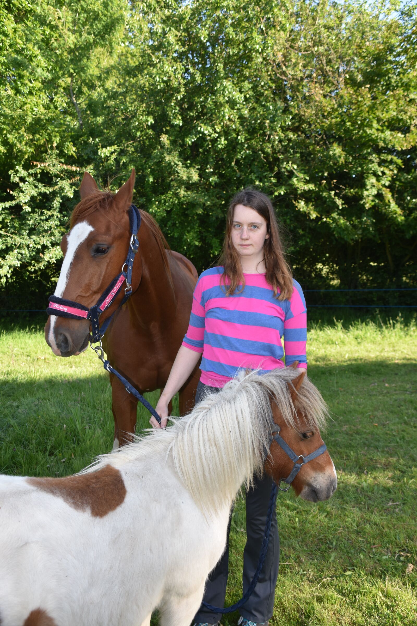 Nikon D5600 sample photo. Horse, pony, young girl photography