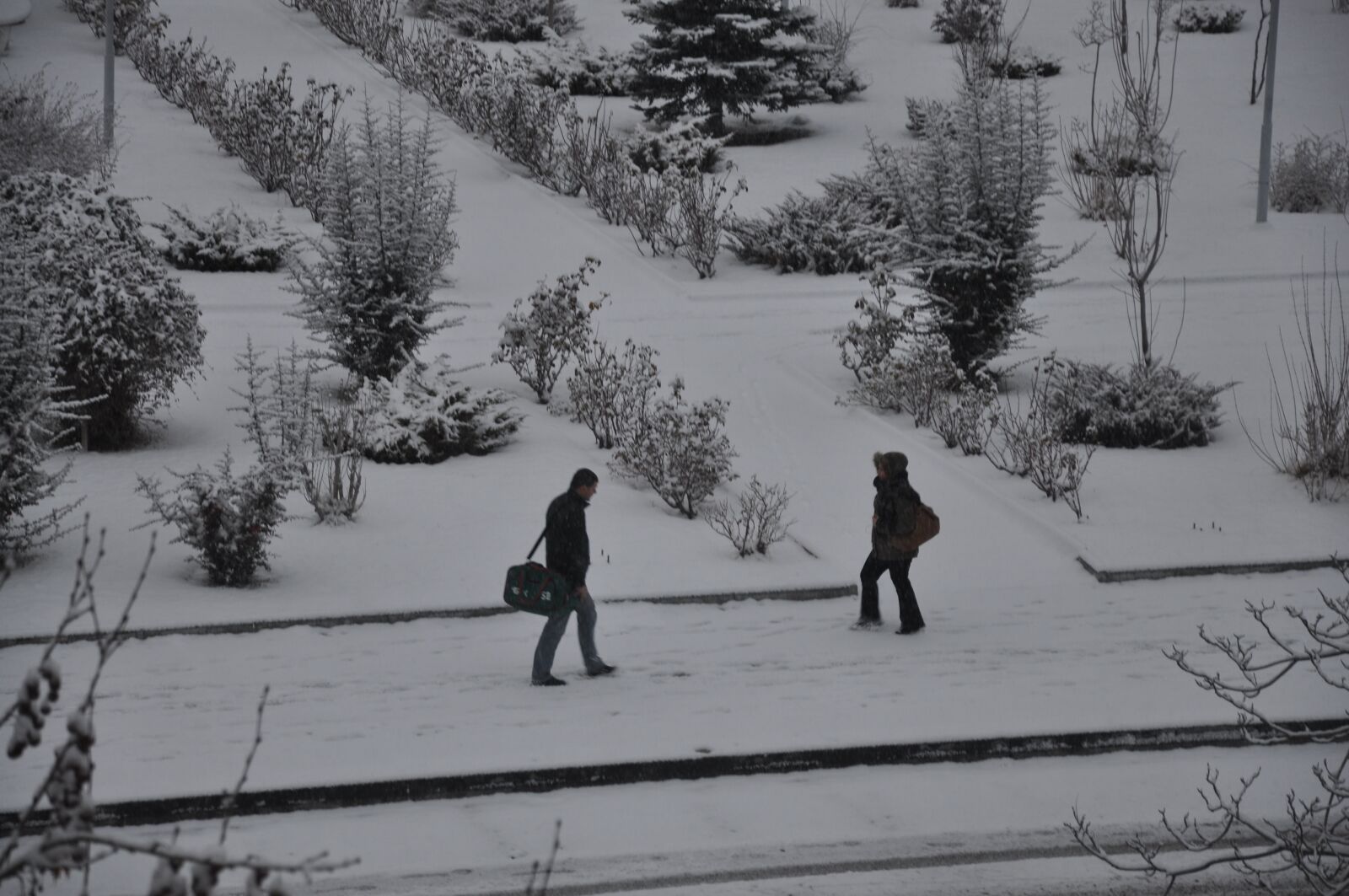 Nikon D90 sample photo. Snow, winter, encounter photography