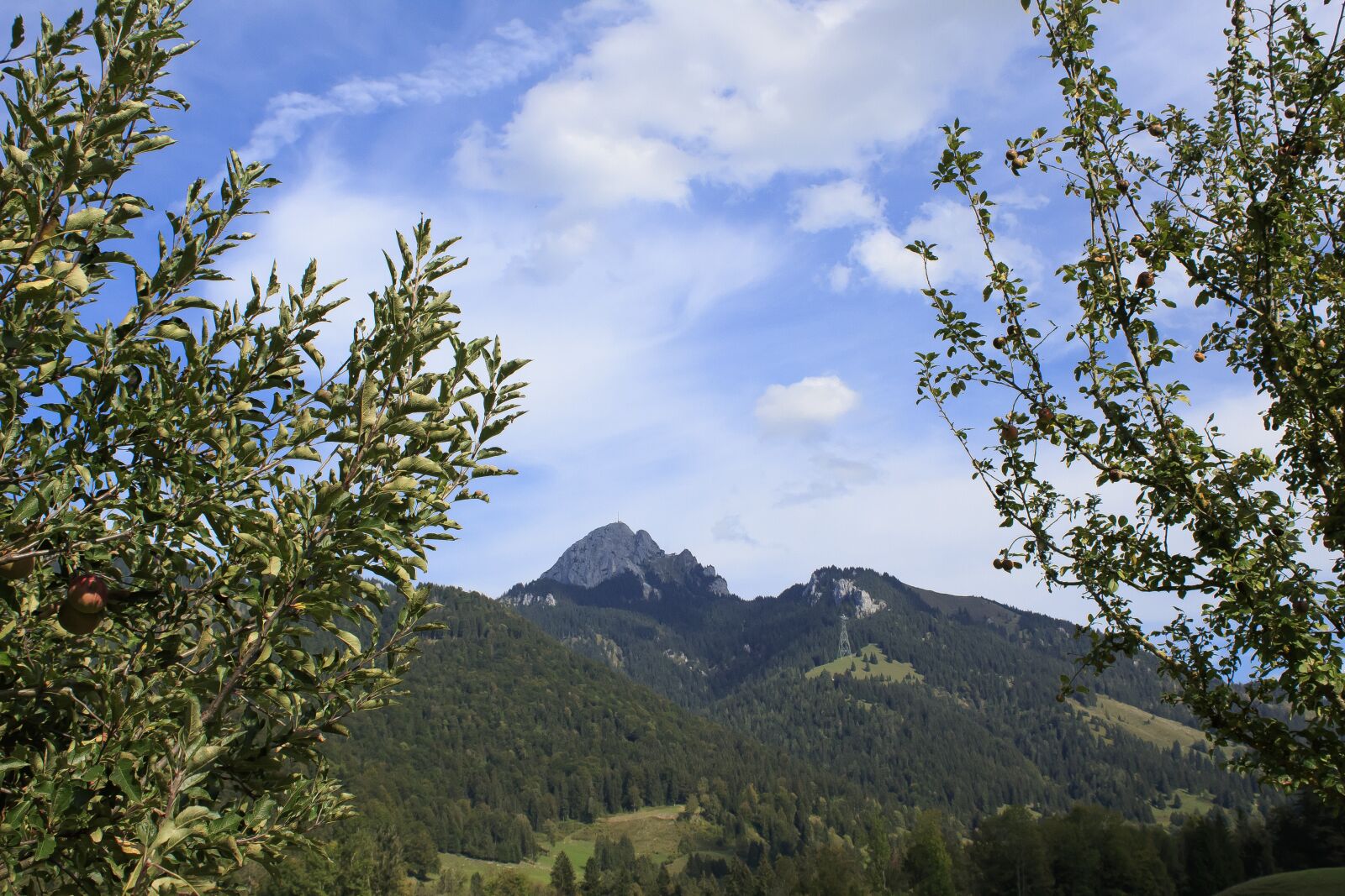 Canon EOS 1300D (EOS Rebel T6 / EOS Kiss X80) sample photo. Mountain, alpine, wendelstein photography