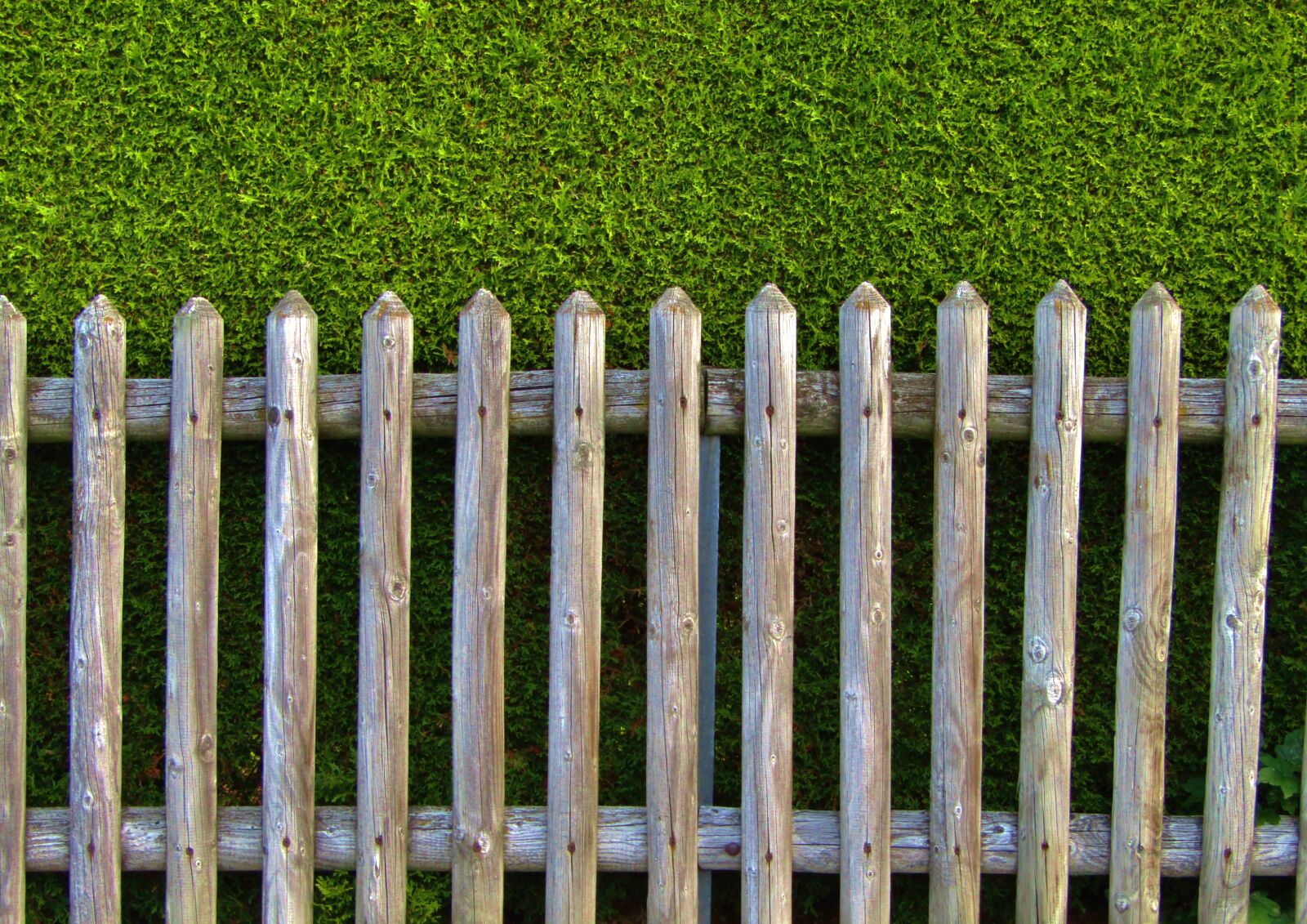 Canon POWERSHOT SX432 IS sample photo. Garden fence, wood, battens photography