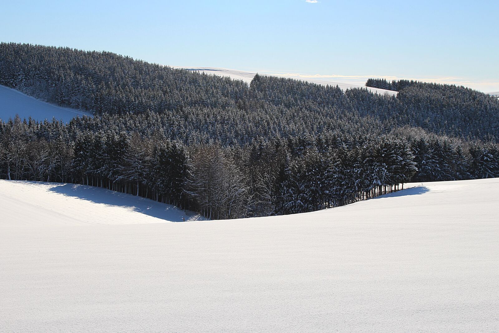 Canon EOS 100D (EOS Rebel SL1 / EOS Kiss X7) sample photo. Wintry, winter mood, snow photography