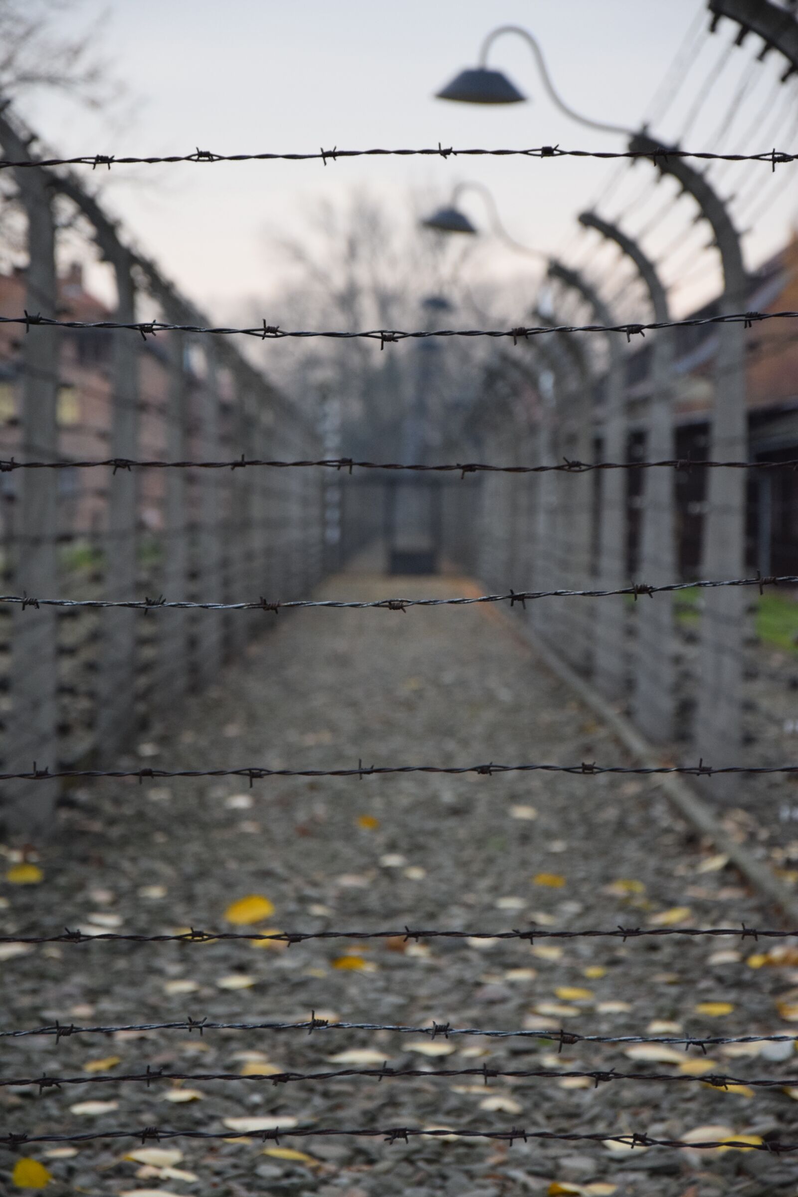 Nikon D5300 sample photo. German death camp, auschwitz photography