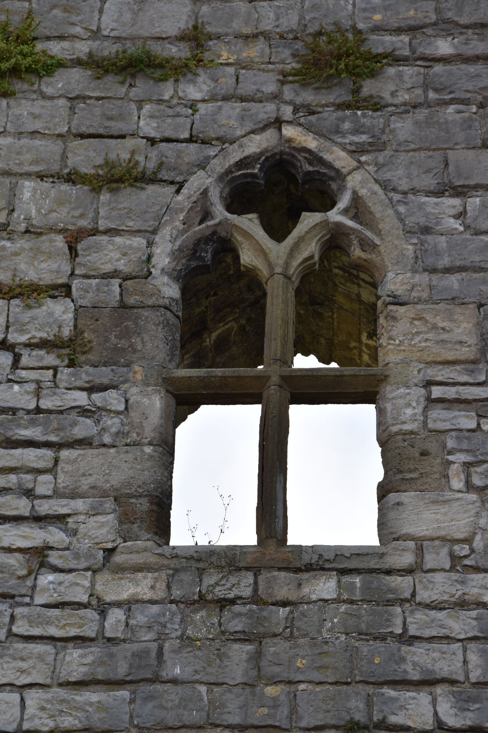 Nikon D5600 sample photo. Medieval, window, castle photography