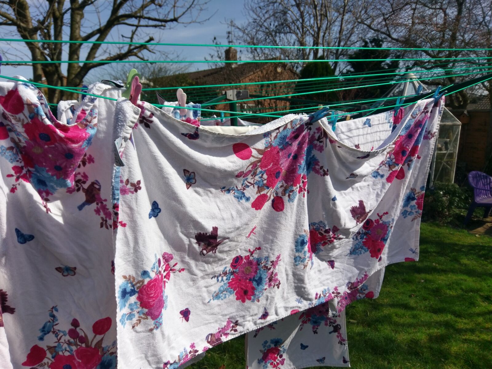 HTC 10 sample photo. Outdoors, laundry, clothesline photography