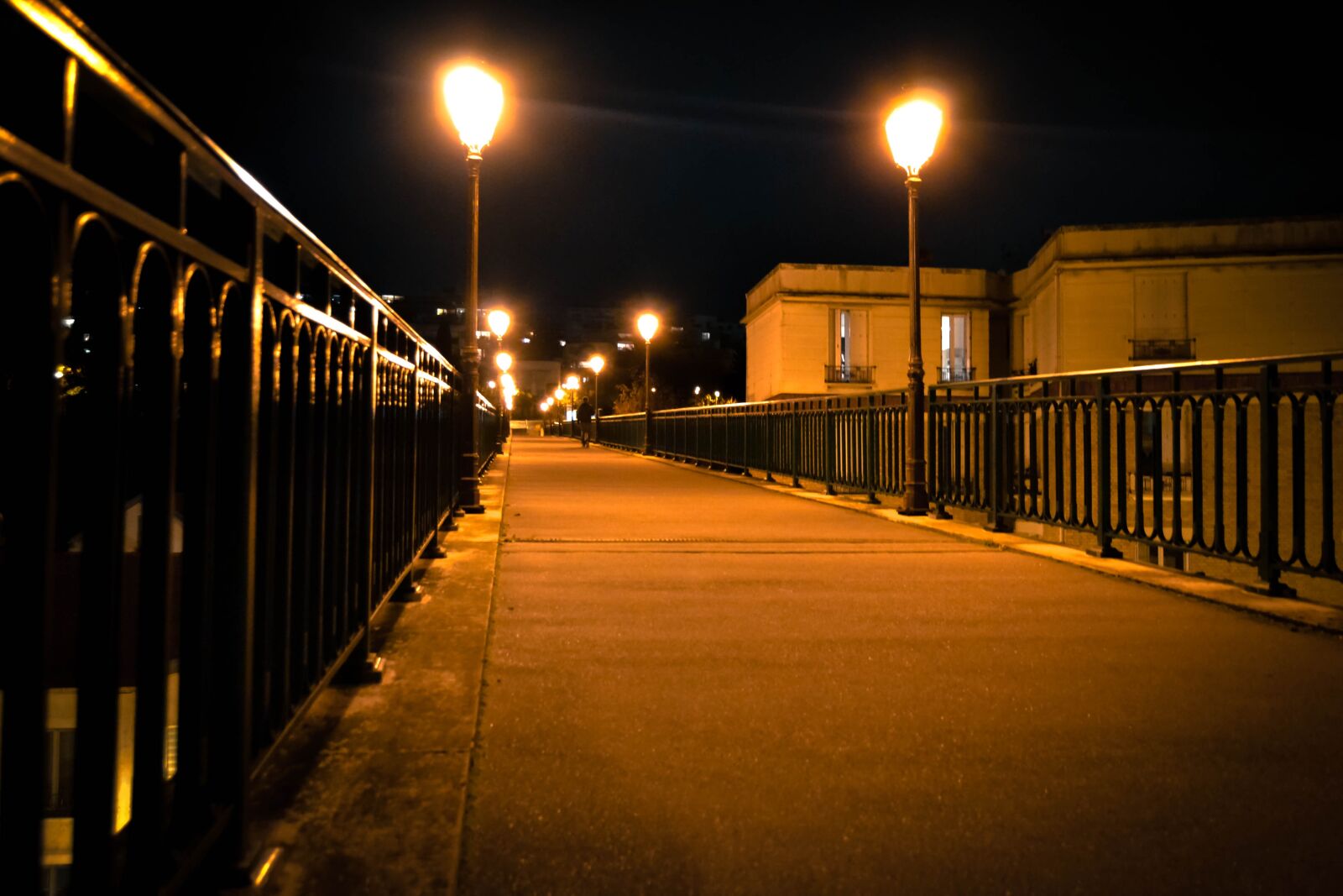 Nikon D3100 sample photo. Bridge, france, passage photography