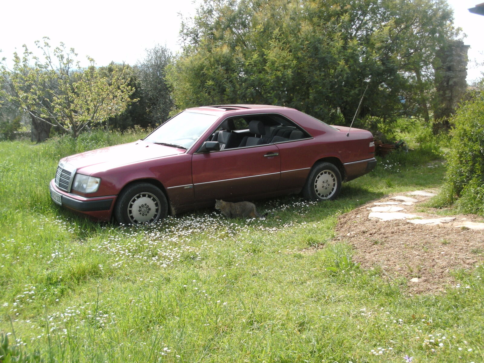 TRAVELER DC-12 sample photo. Coupe photography