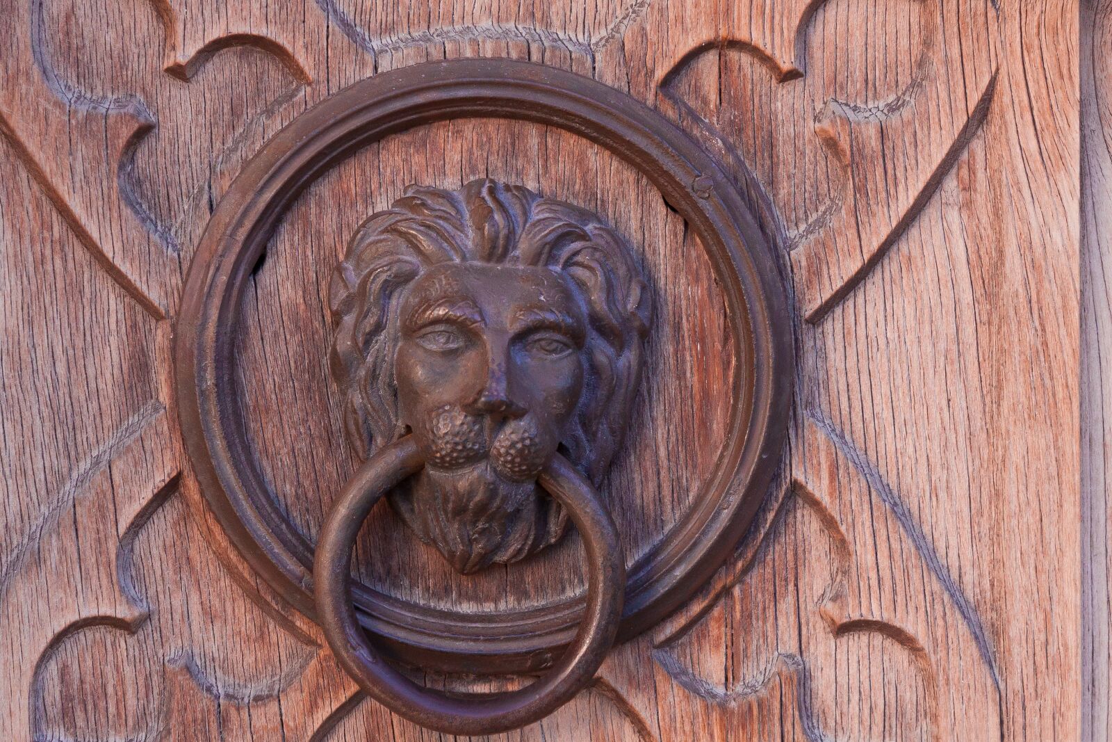 Canon EF-S 17-85mm F4-5.6 IS USM sample photo. Lion, door, goal photography