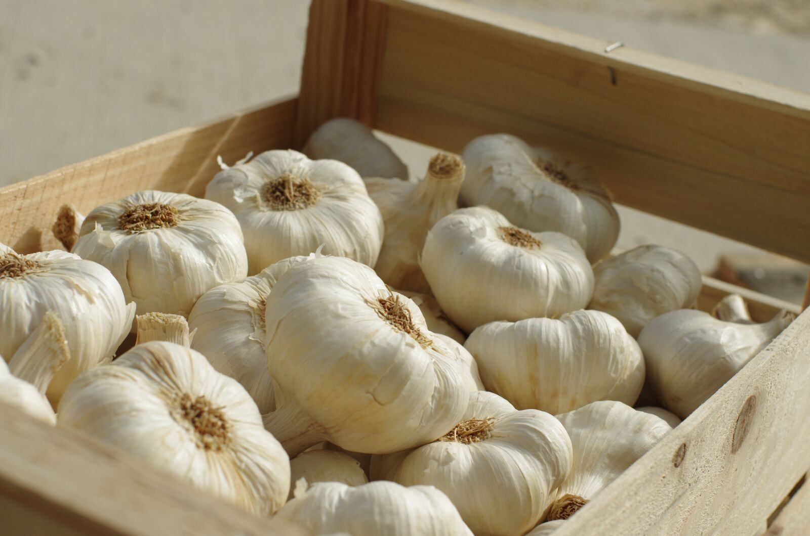 Pentax K-5 II sample photo. Garlic, food, vegetable photography
