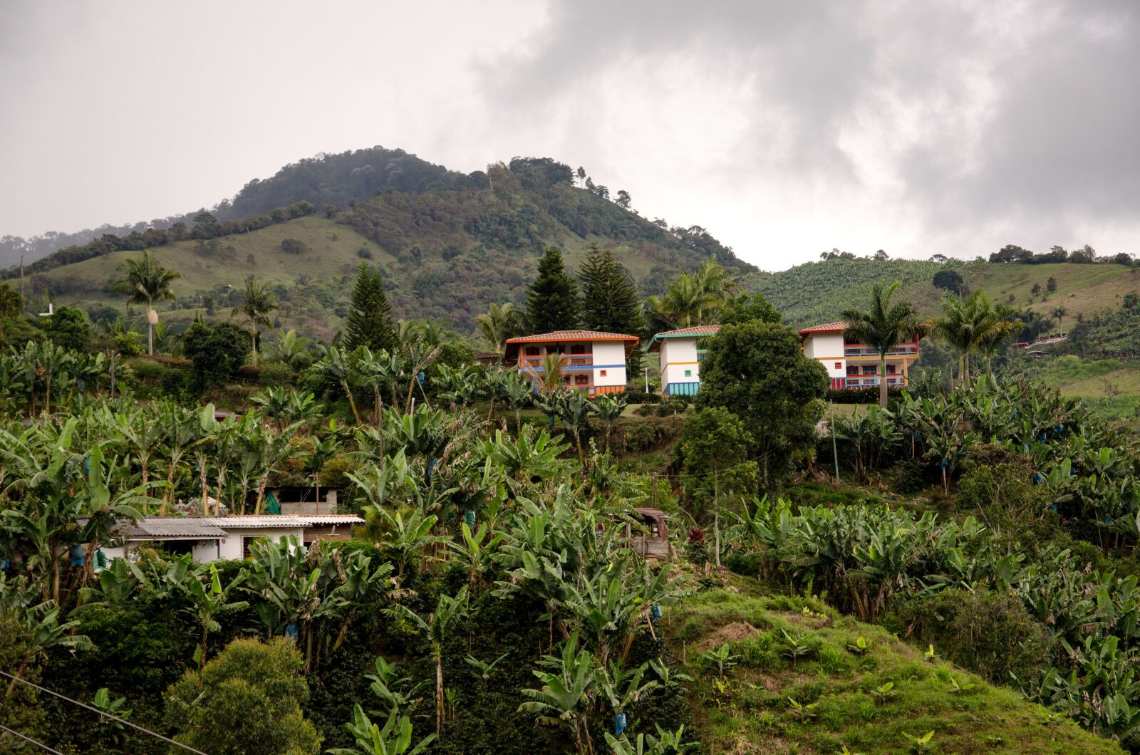 Nikon D5100 sample photo. Colombia, jardin, coffee zone photography