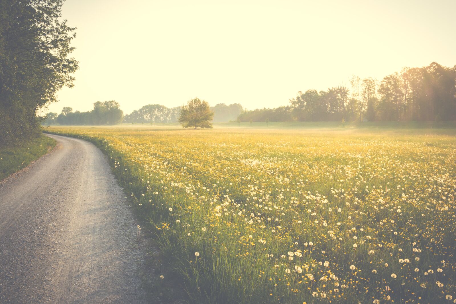 Canon EF-S 24mm F2.8 STM sample photo. Landscape, sun, nature photography