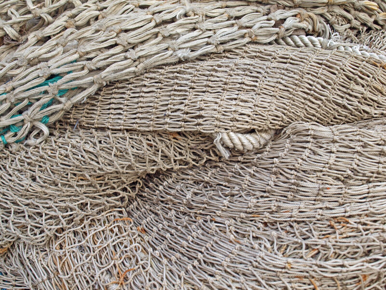 Olympus E-520 (EVOLT E-520) sample photo. Web, fishing net, fishing photography
