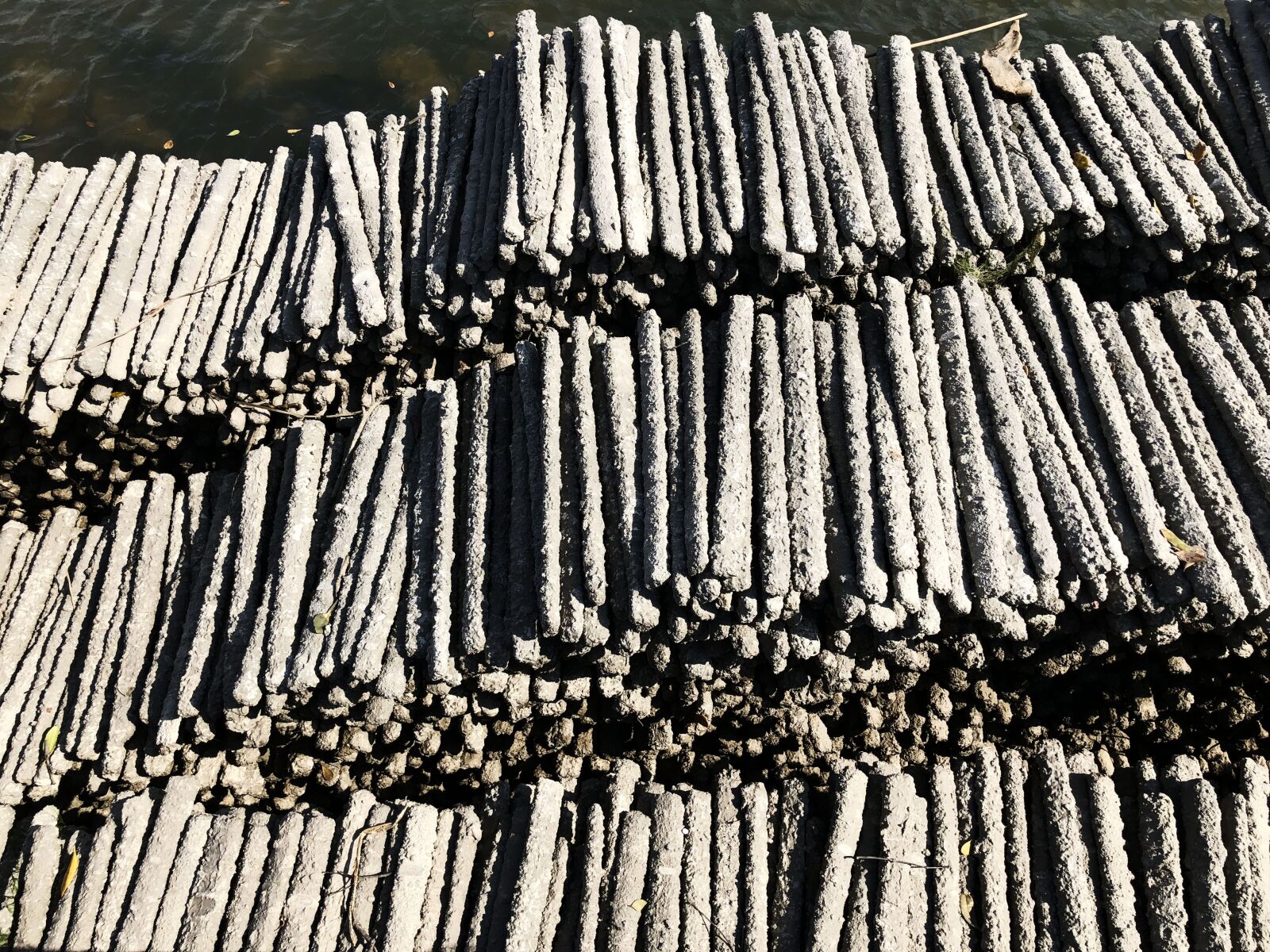 iPhone X back dual camera 4mm f/1.8 sample photo. Sunshine, hao xiang, net photography
