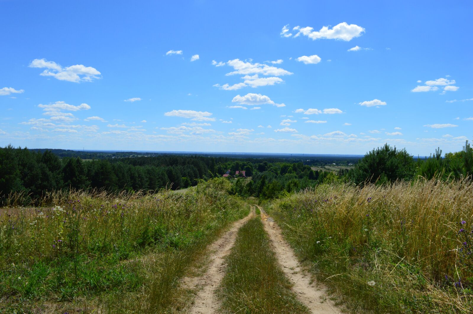 Nikon D3200 sample photo. Mite, independence nebraski, mud photography