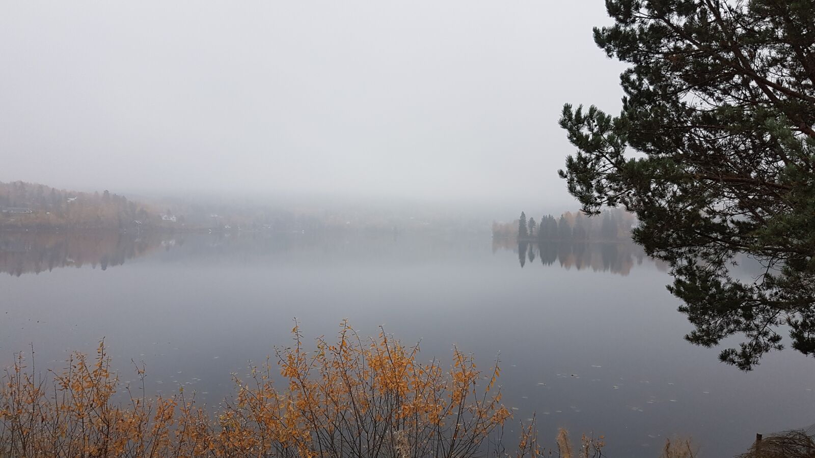Samsung Galaxy S7 Edge sample photo. Fog, norway, water photography