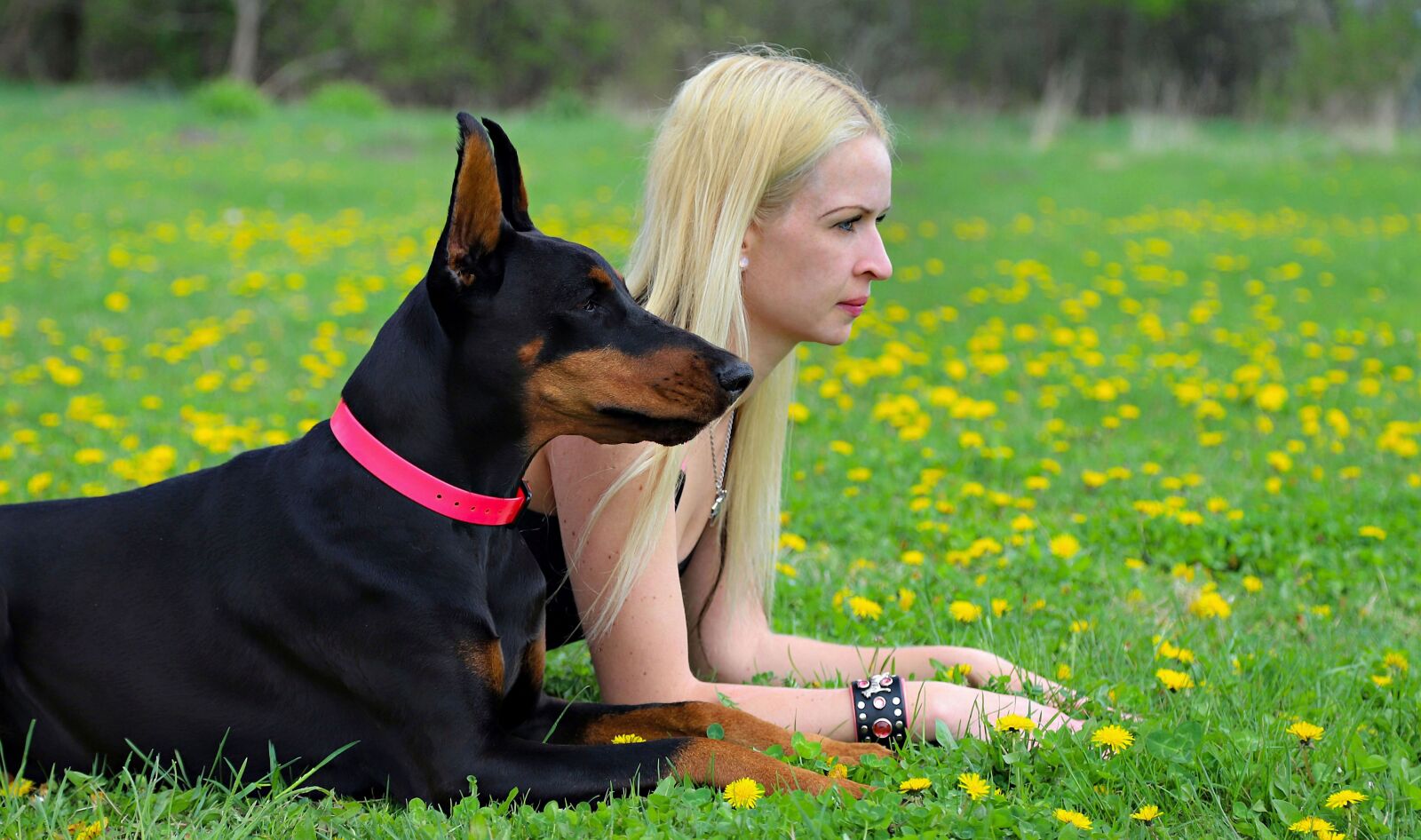 Canon EOS 6D Mark II sample photo. Dog, doberman, friendship photography
