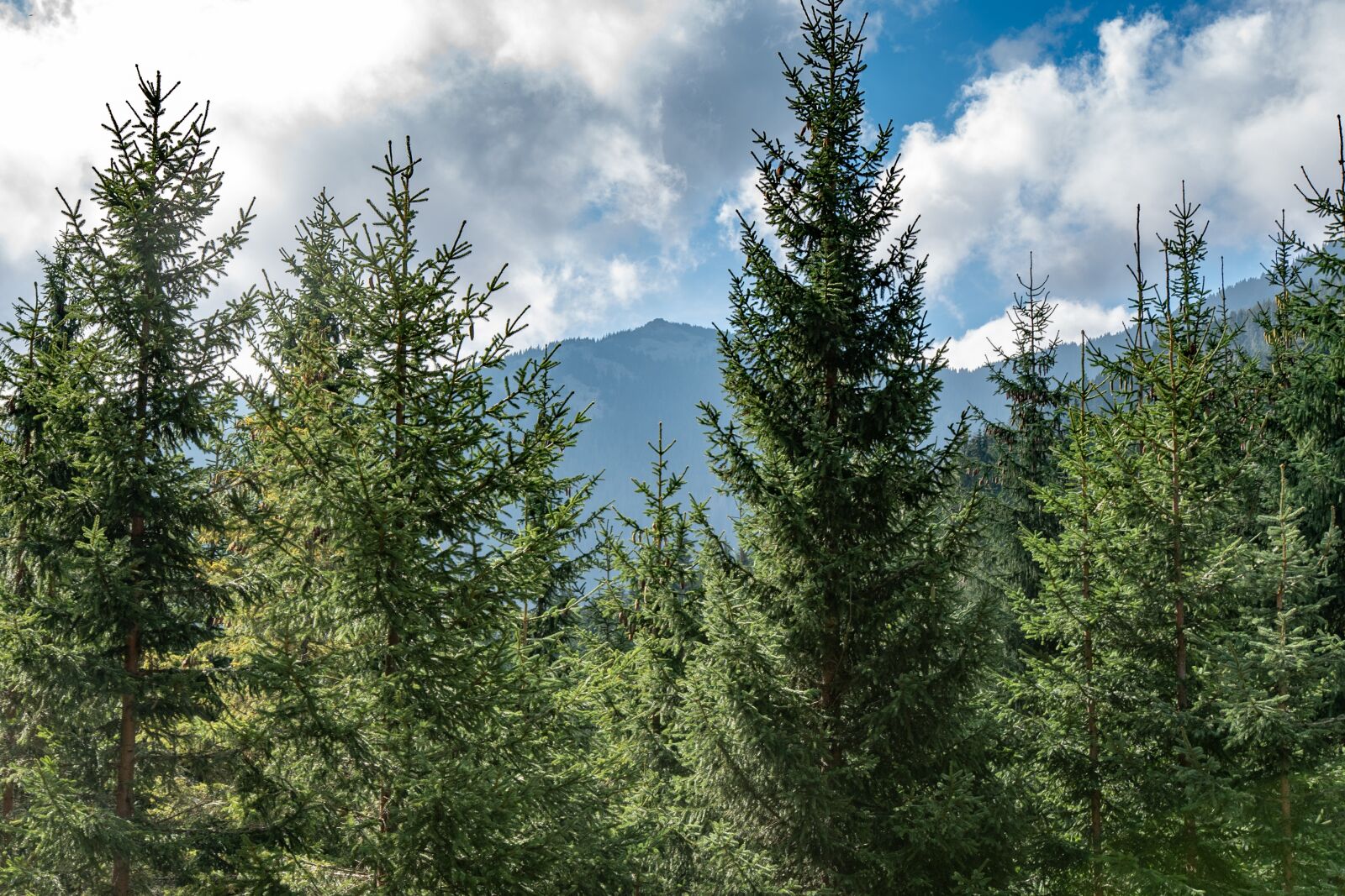 Nikon D5500 sample photo. Mountain, sky, clouds photography