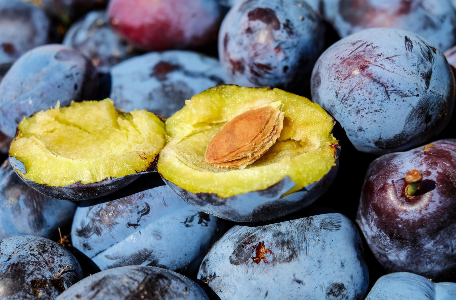 Fujifilm X-T10 + Fujifilm XF 35mm F1.4 R sample photo. Plum, fruit, cut in photography
