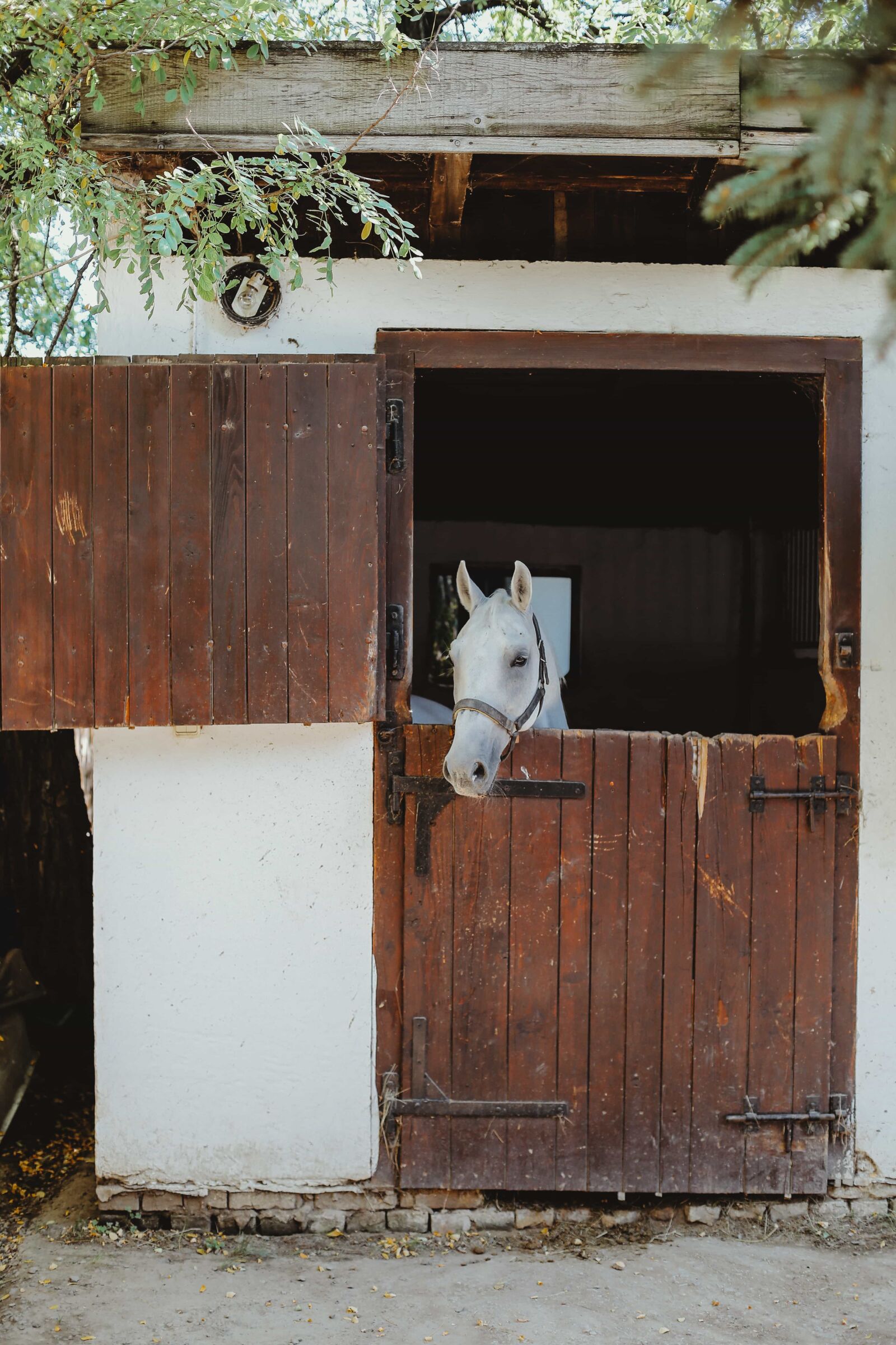 Canon EOS 5D Mark III sample photo. Farmhouse, farmland, front door photography