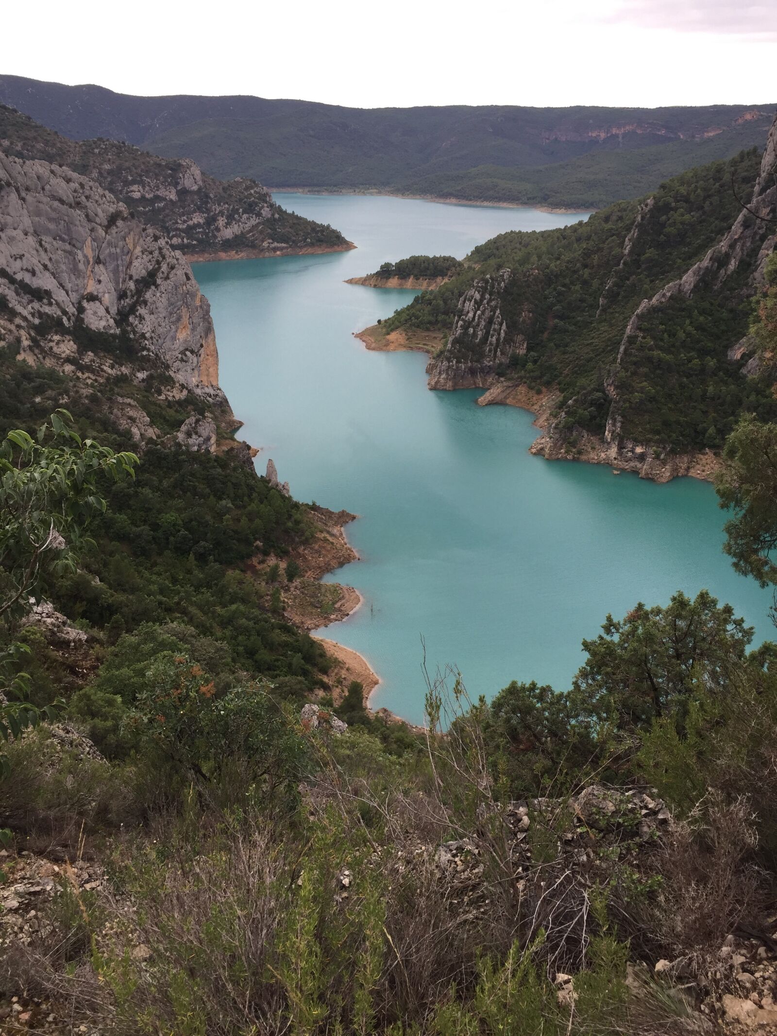 Apple iPhone 6 sample photo. Congost de mont-rebei, marsh photography