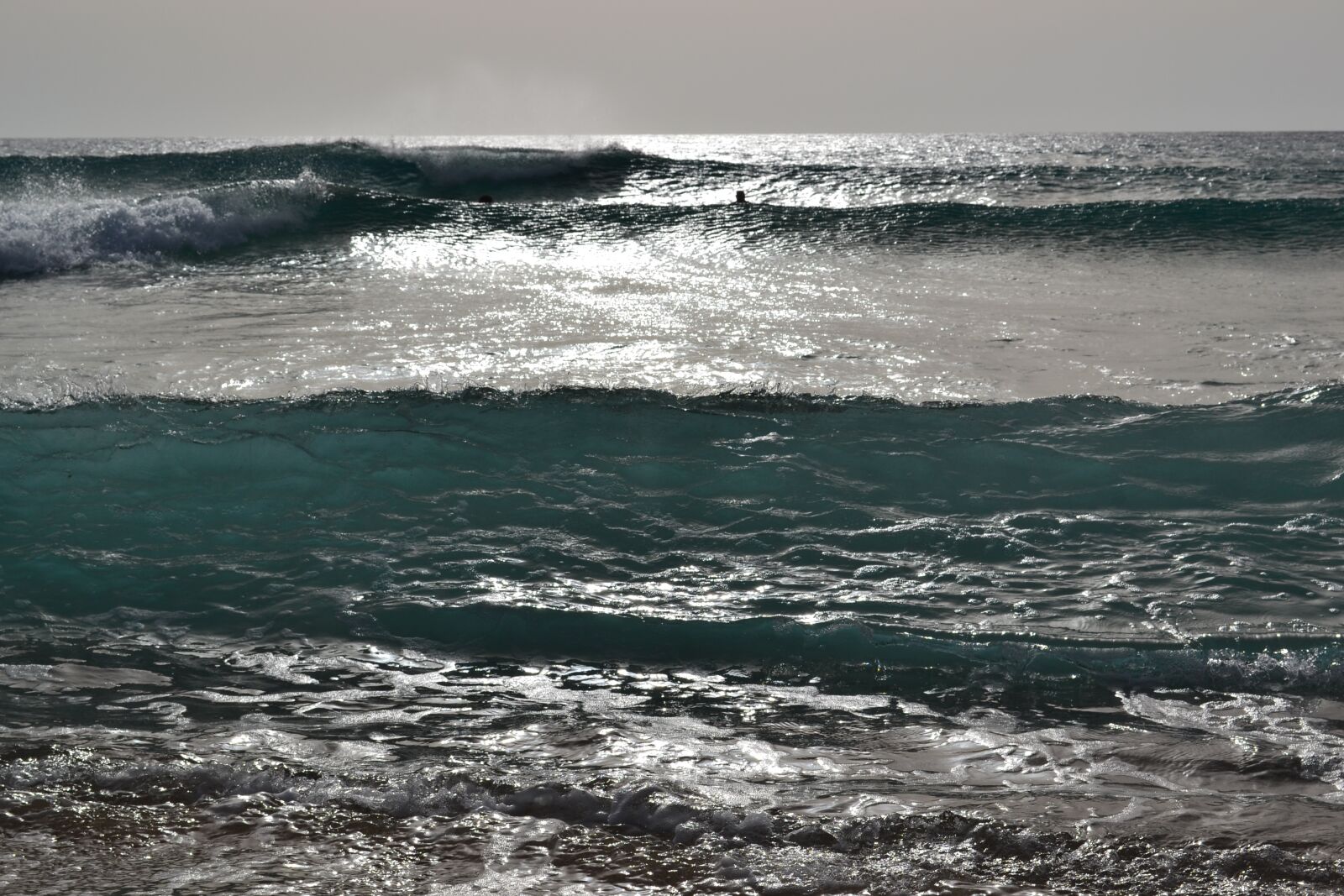 Nikon D3100 sample photo