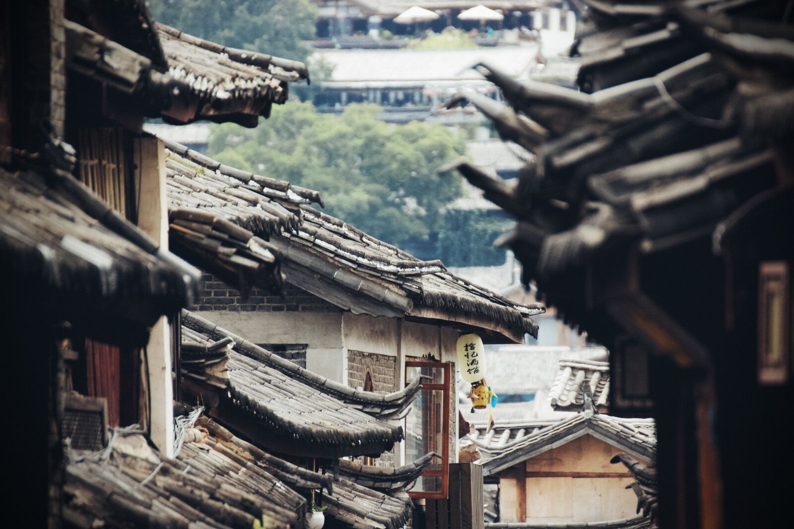 Canon EOS 550D (EOS Rebel T2i / EOS Kiss X4) sample photo. Roof, houses, old photography