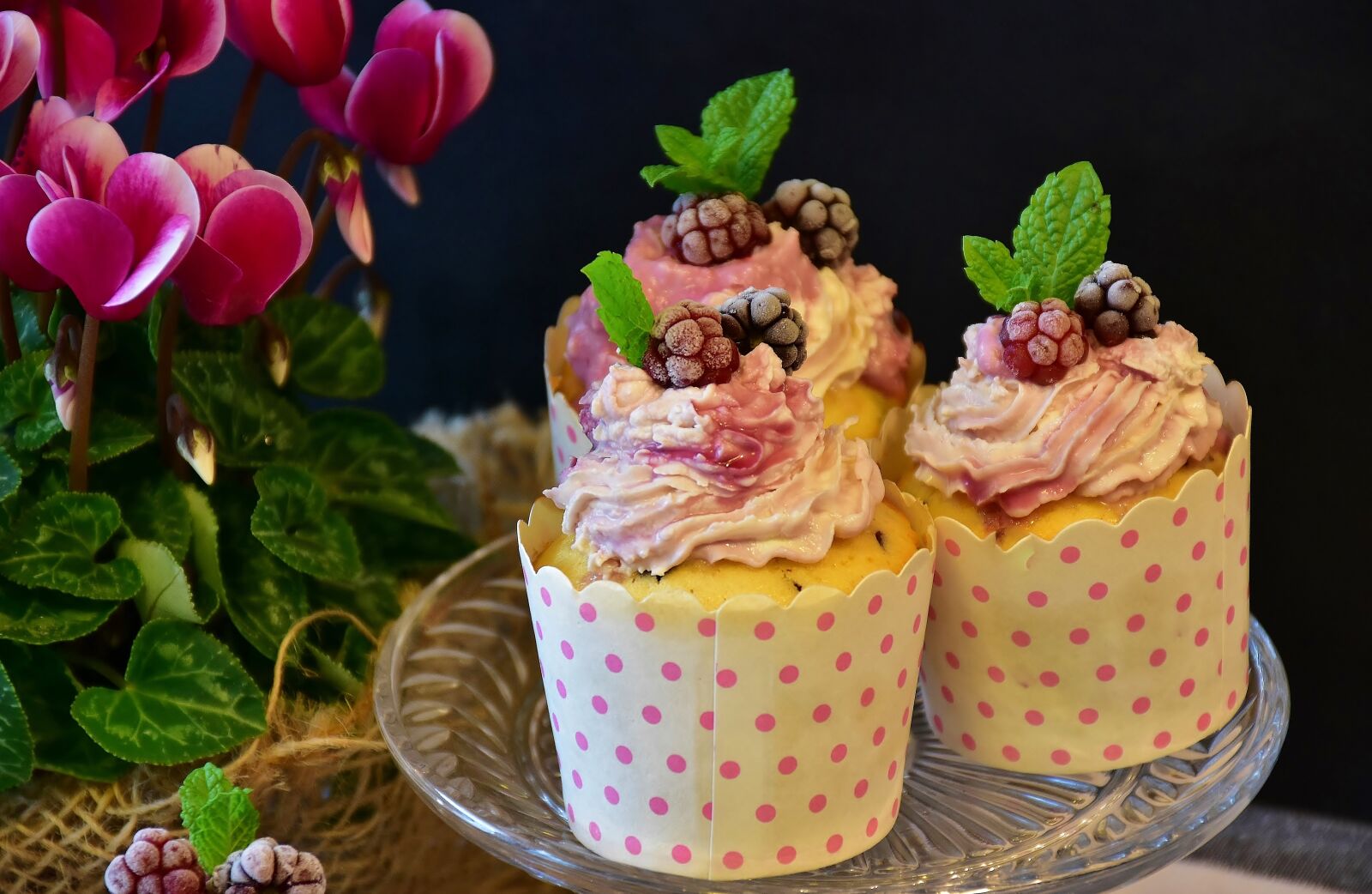 Nikon D7200 sample photo. Cupcake, muffin, cake photography