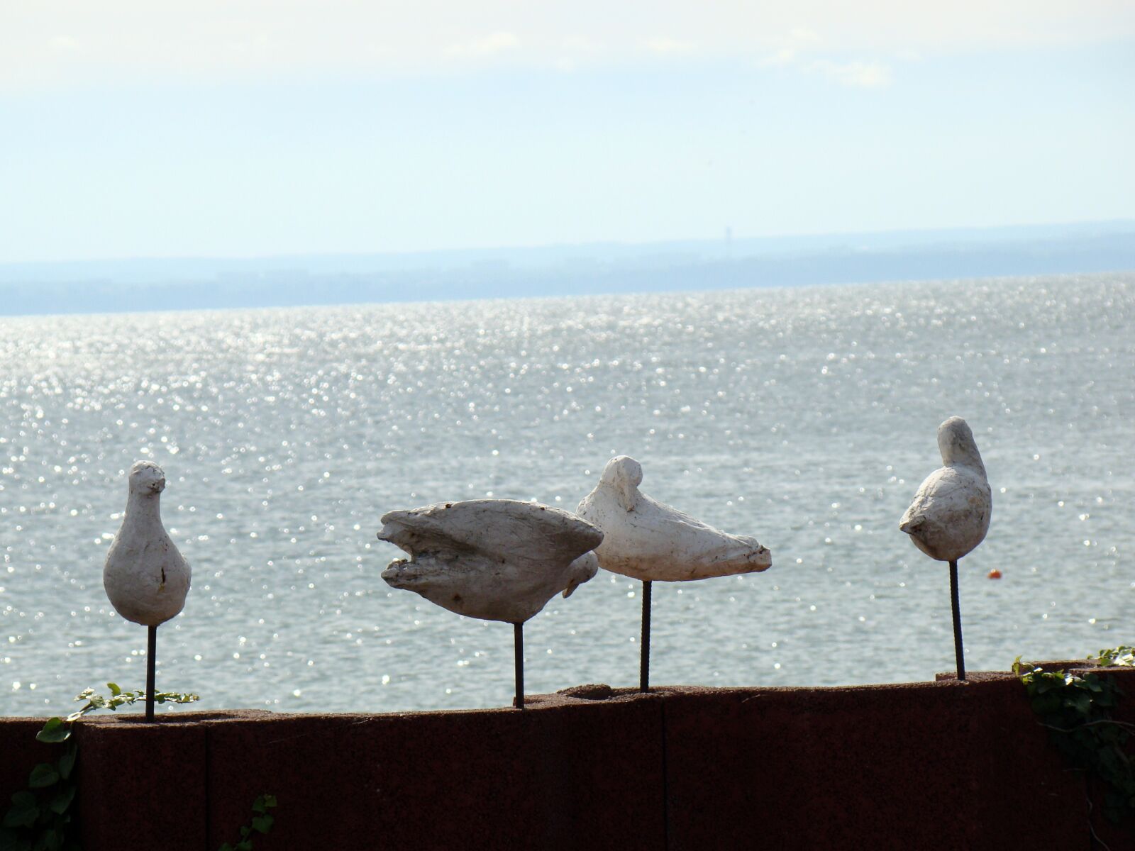 Sony Cyber-shot DSC-H50 sample photo. Artificial birds, the seagulls photography