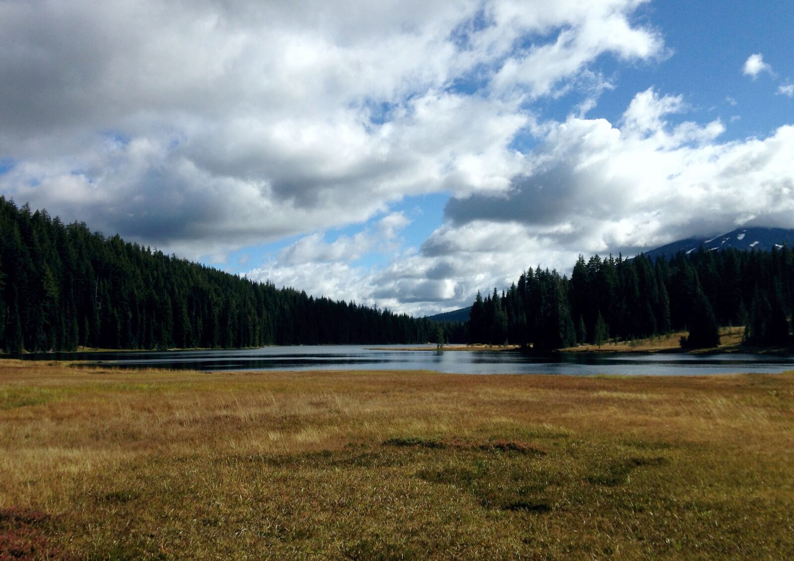 Apple iPhone 5 sample photo. Lake, trees, background photography