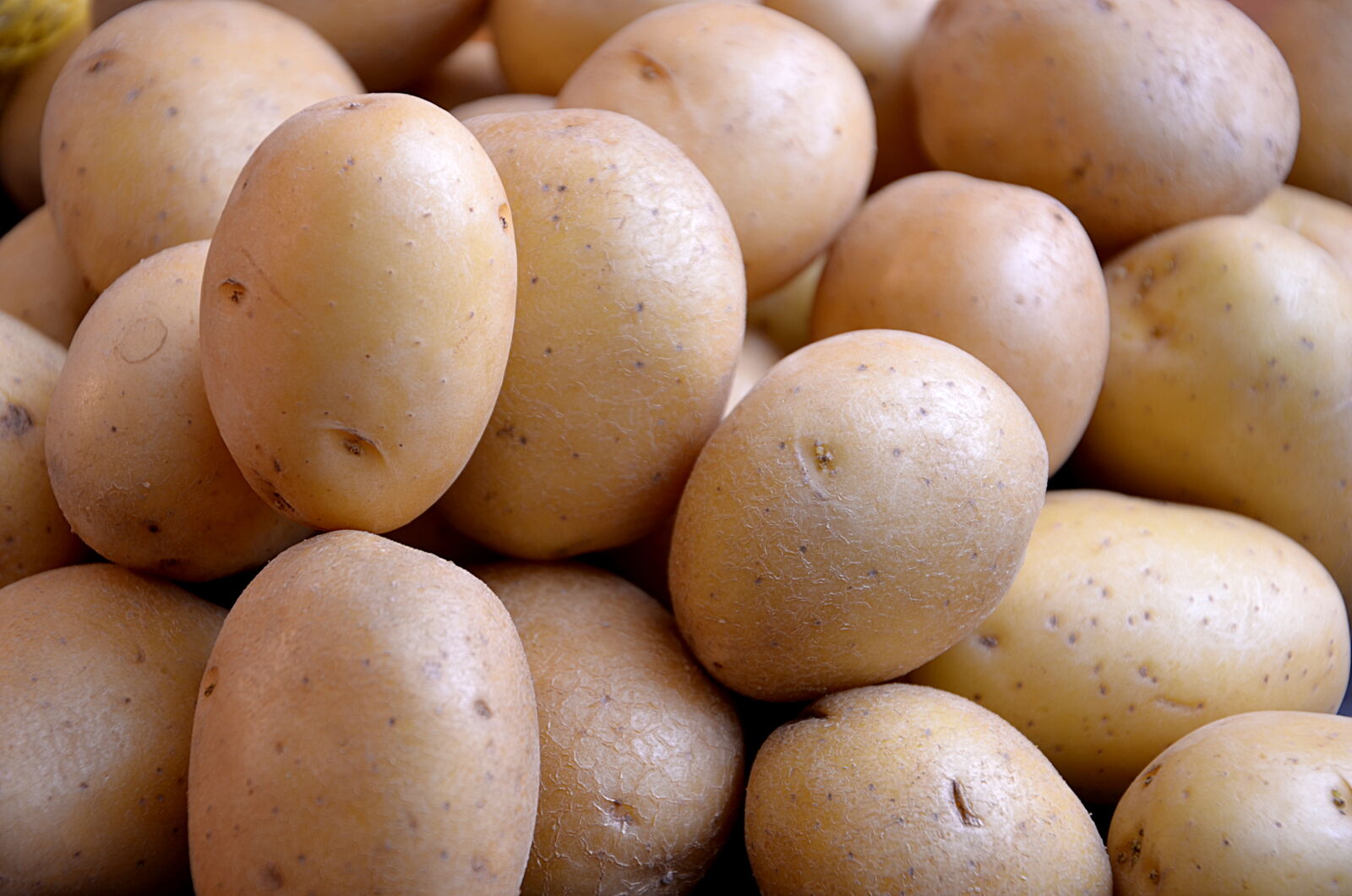 Nikon D5100 sample photo. Alimentation, legumes, nourriture, patates photography