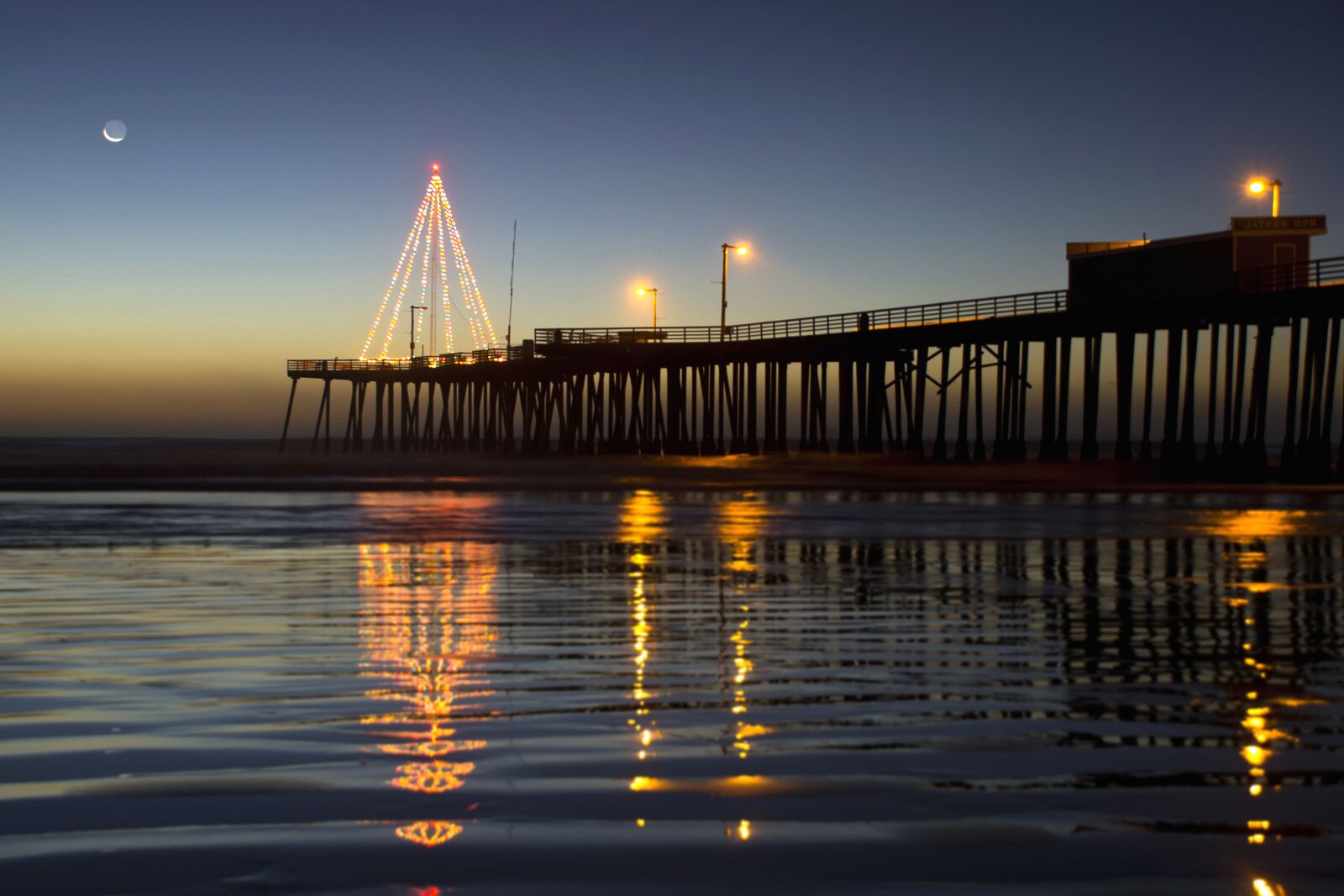 Nikon D600 sample photo. Dusk, tree, reflection, sea photography