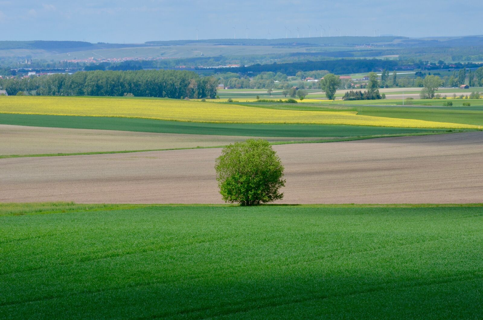 Nikon D5100 sample photo. Spring, fields, nature photography