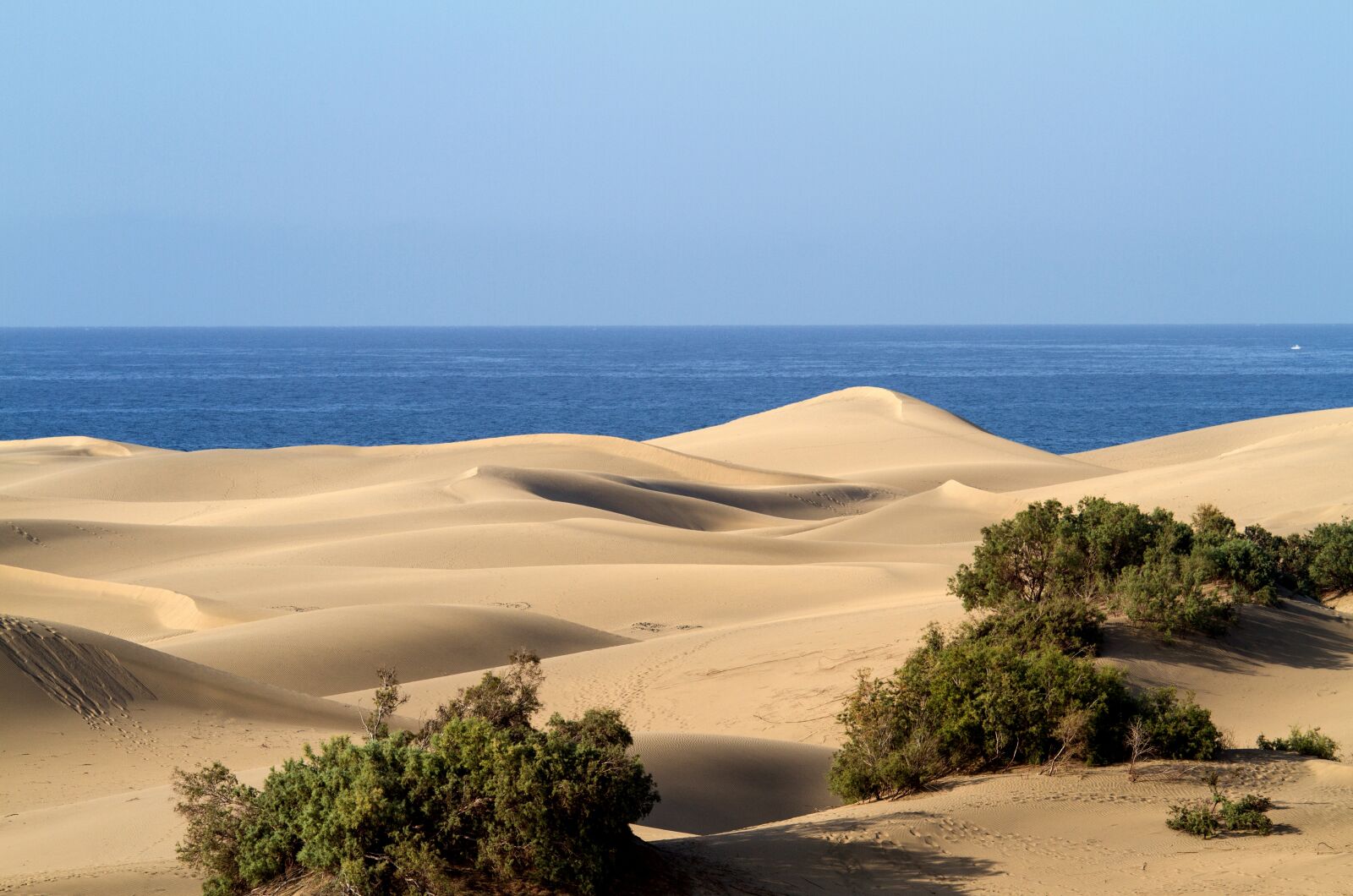 Canon EOS 7D sample photo. Gran canaria, maspalomas, sand photography