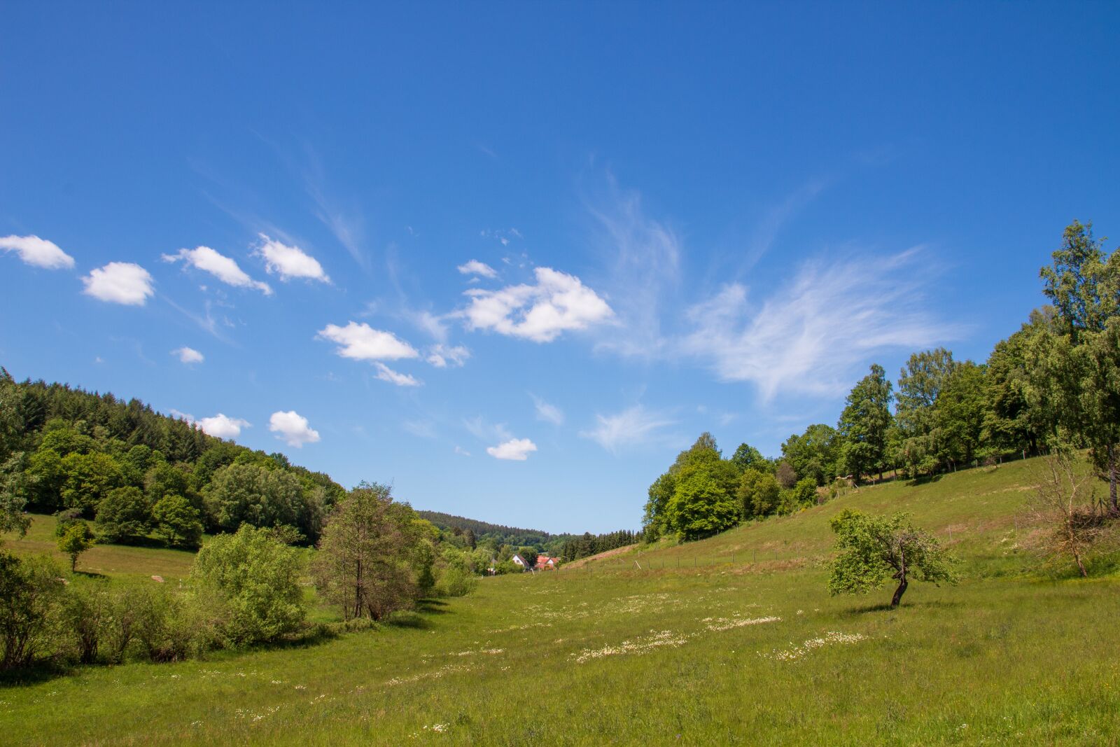 Canon EOS 1300D (EOS Rebel T6 / EOS Kiss X80) sample photo. Clouds, sky, field photography