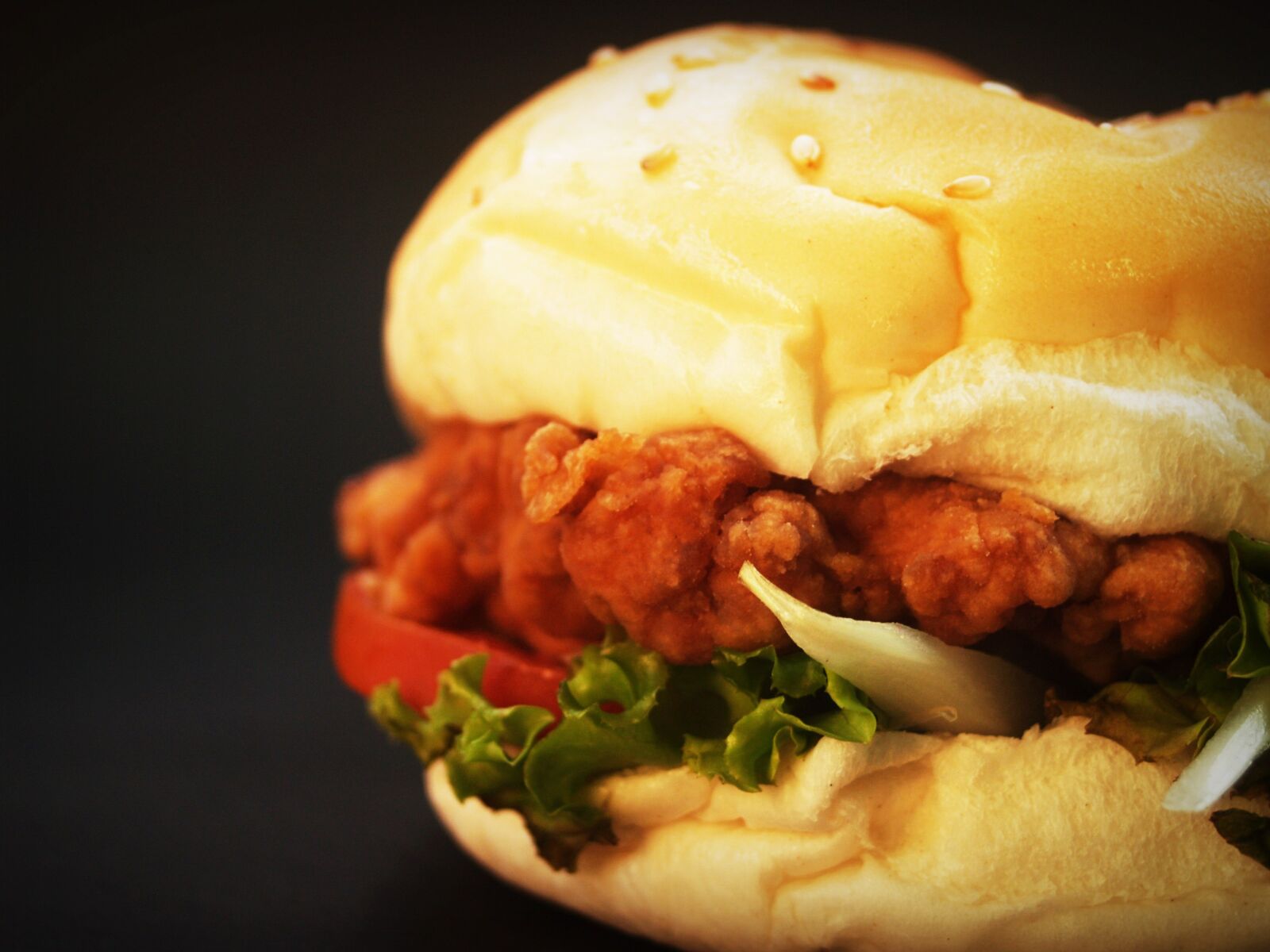 Olympus E-300 (EVOLT E-300) sample photo. Hamburger, burger, bun photography