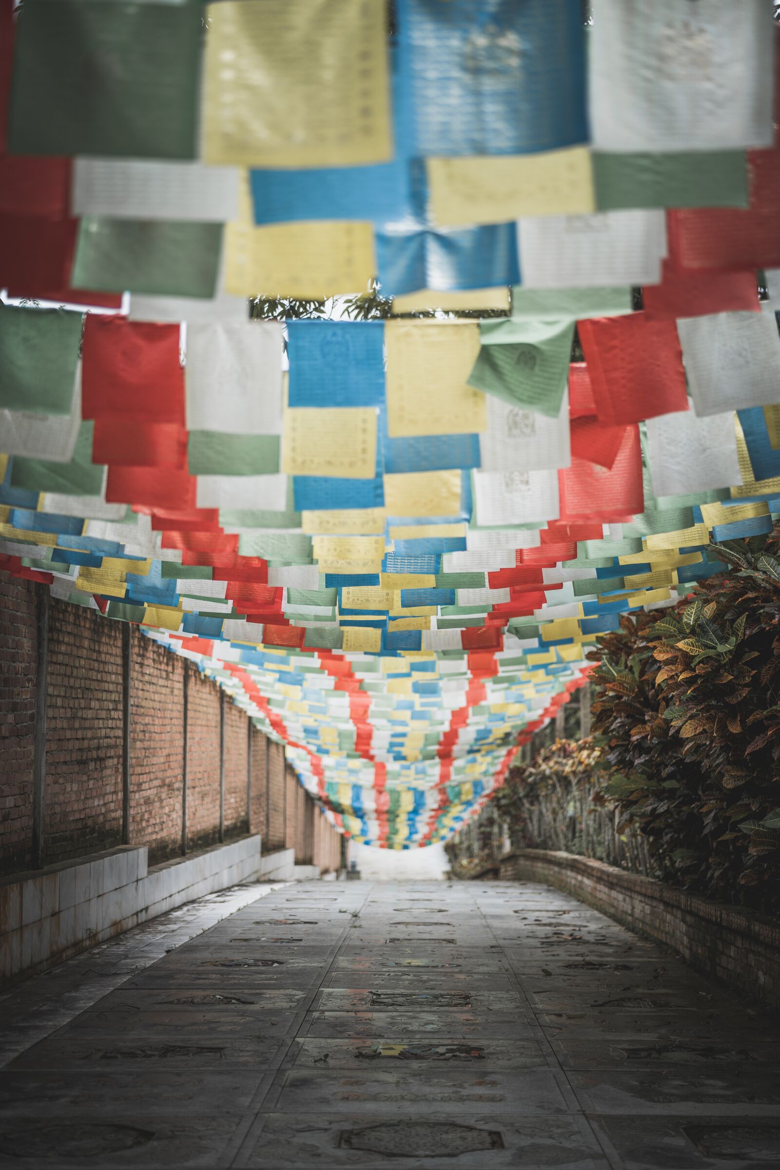 Sony Planar T* FE 50mm F1.4 ZA sample photo. Buddha, temple, meditation photography