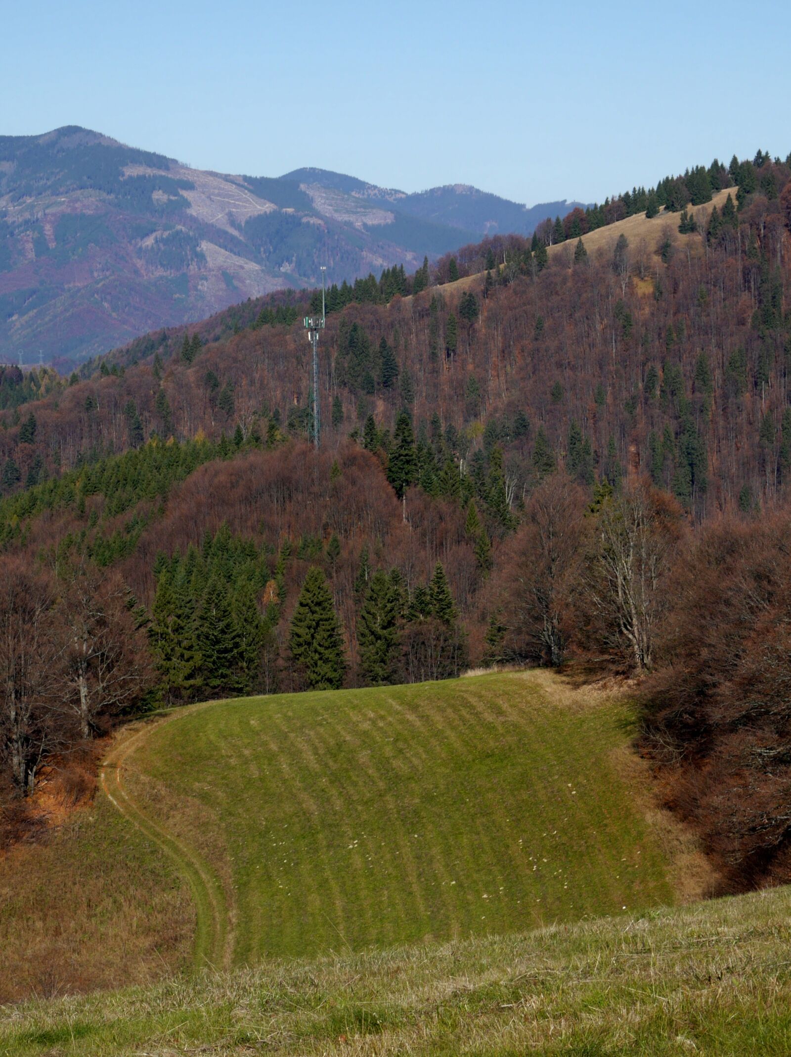 Panasonic Lumix DMC-G6 sample photo. Meadow, slovakia, country photography