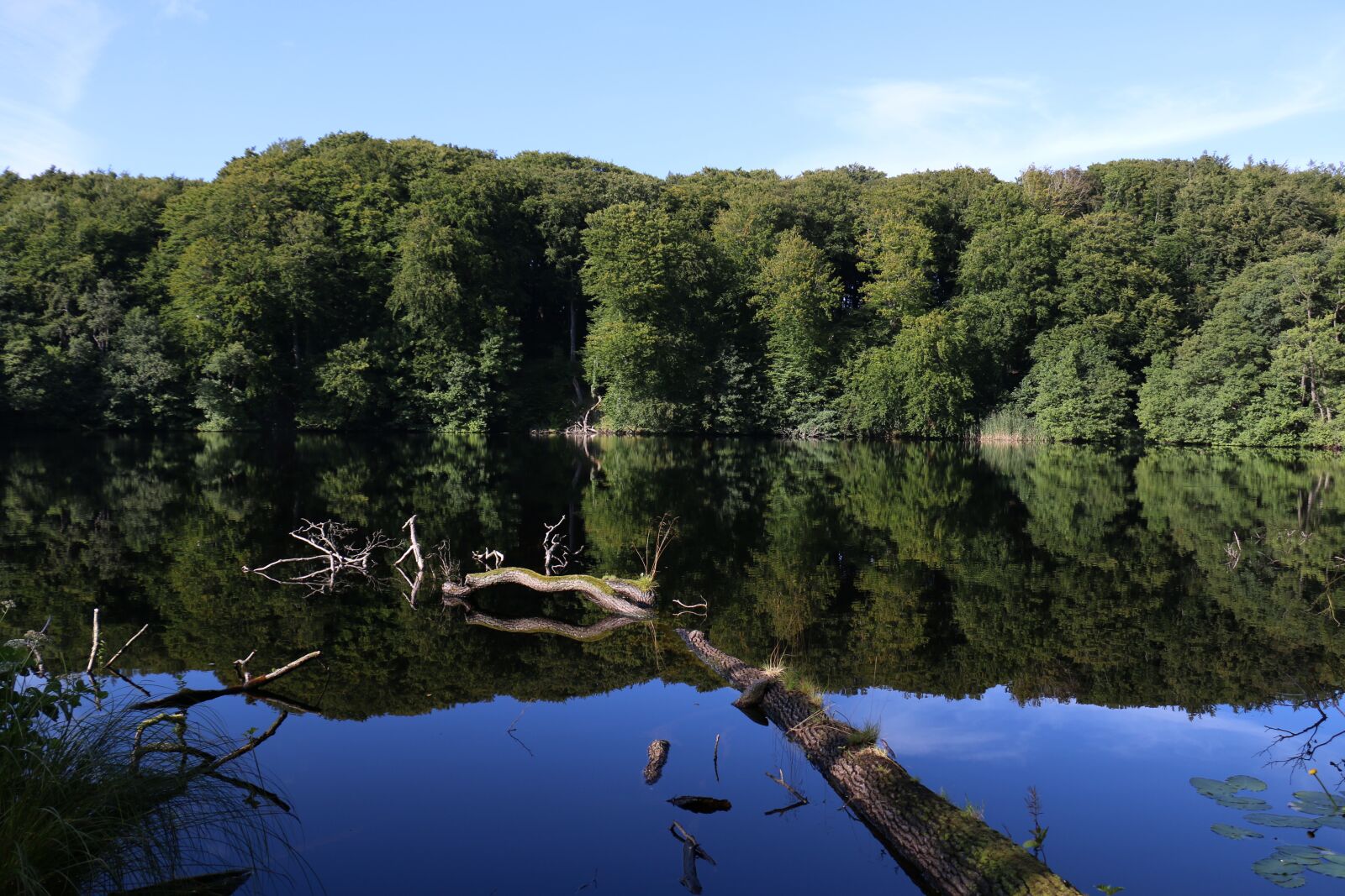 Canon EOS 70D sample photo. Lake, forest, water photography