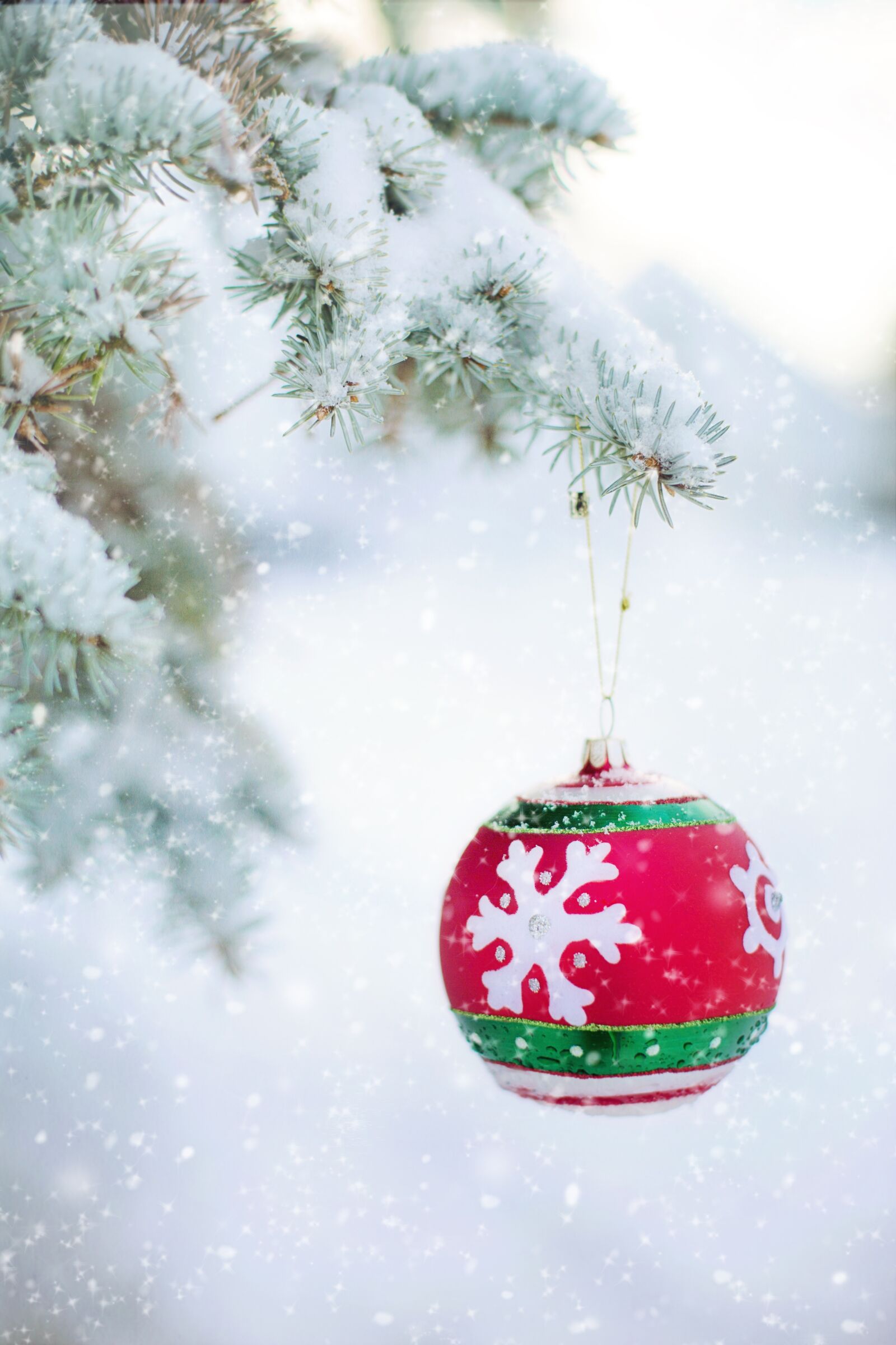 Canon EF 50mm F1.4 USM sample photo. Christmas ornament, bulb, snowy photography