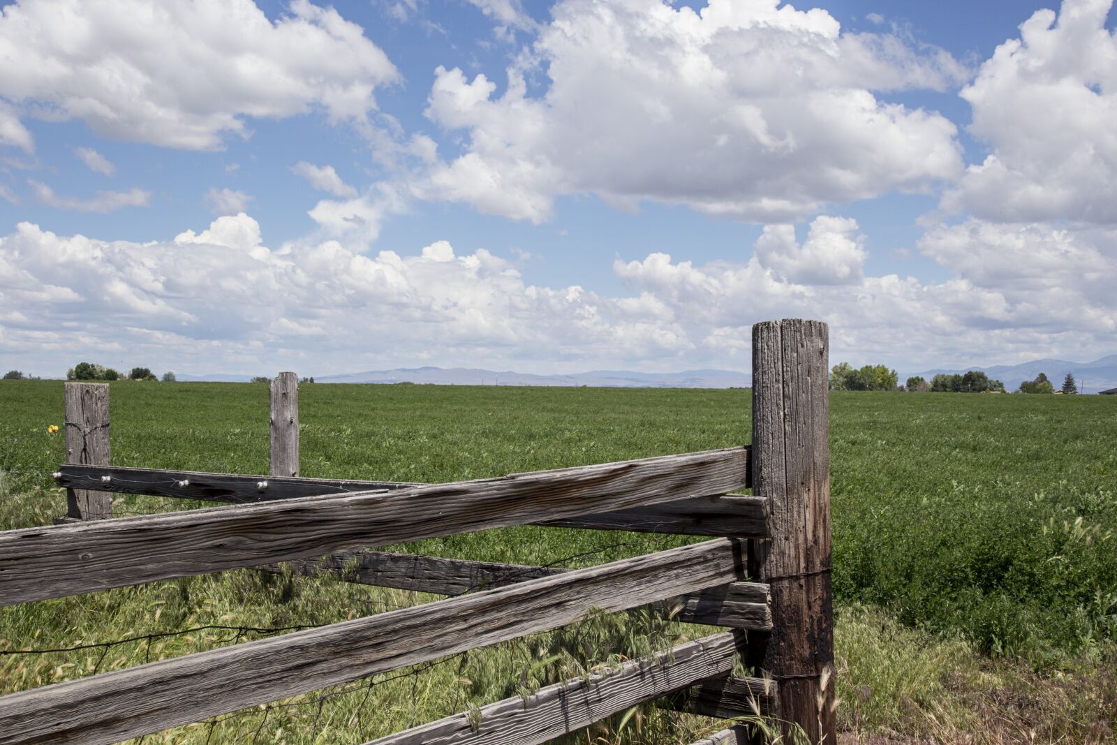 Canon EOS 6D + Canon EF 24-105mm F4L IS USM sample photo. Sky, clouds, fence photography