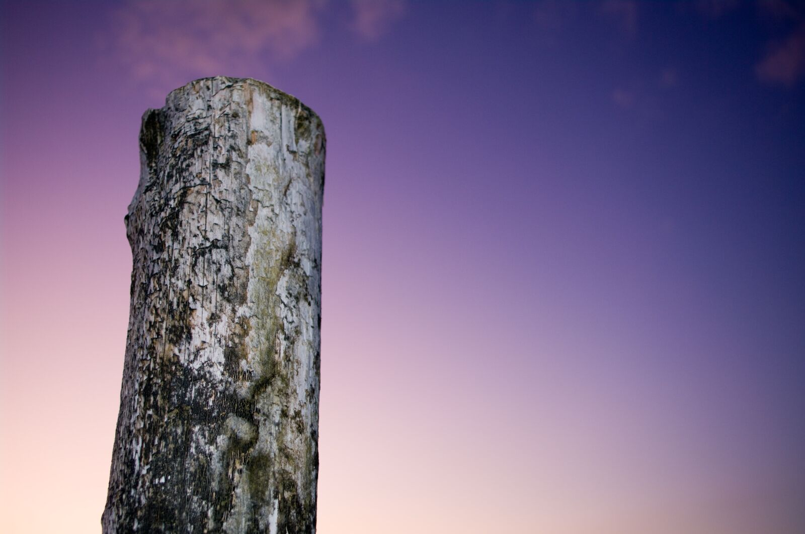 Pentax K20D sample photo. Beach post, aged wood photography