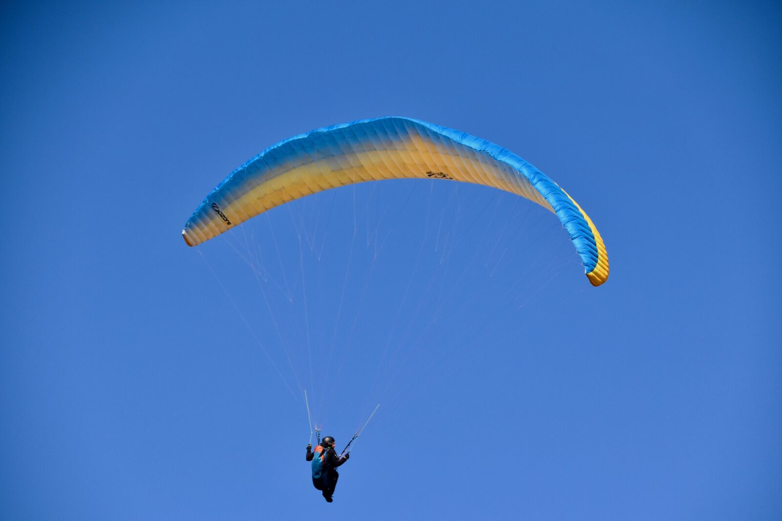 Nikon D5600 sample photo. Paragliding, paraglider wing, paraglider photography