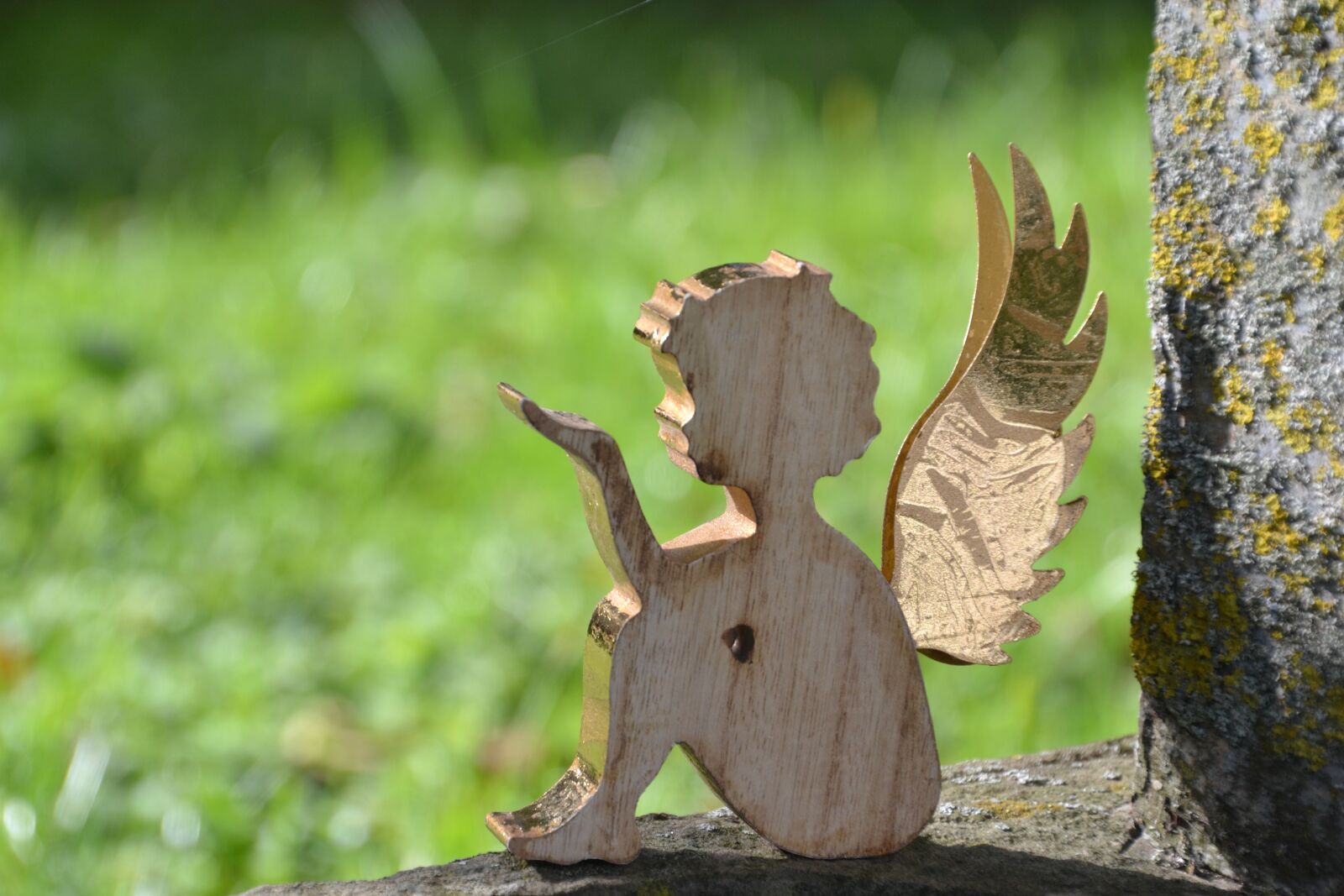 Nikon D3100 sample photo. Angel, wing, love photography