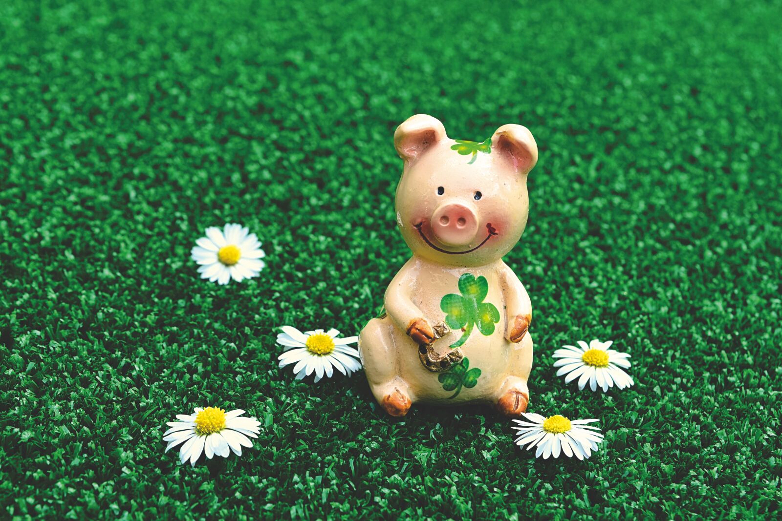 Nikon D7200 sample photo. Lucky pig, figures, cute photography