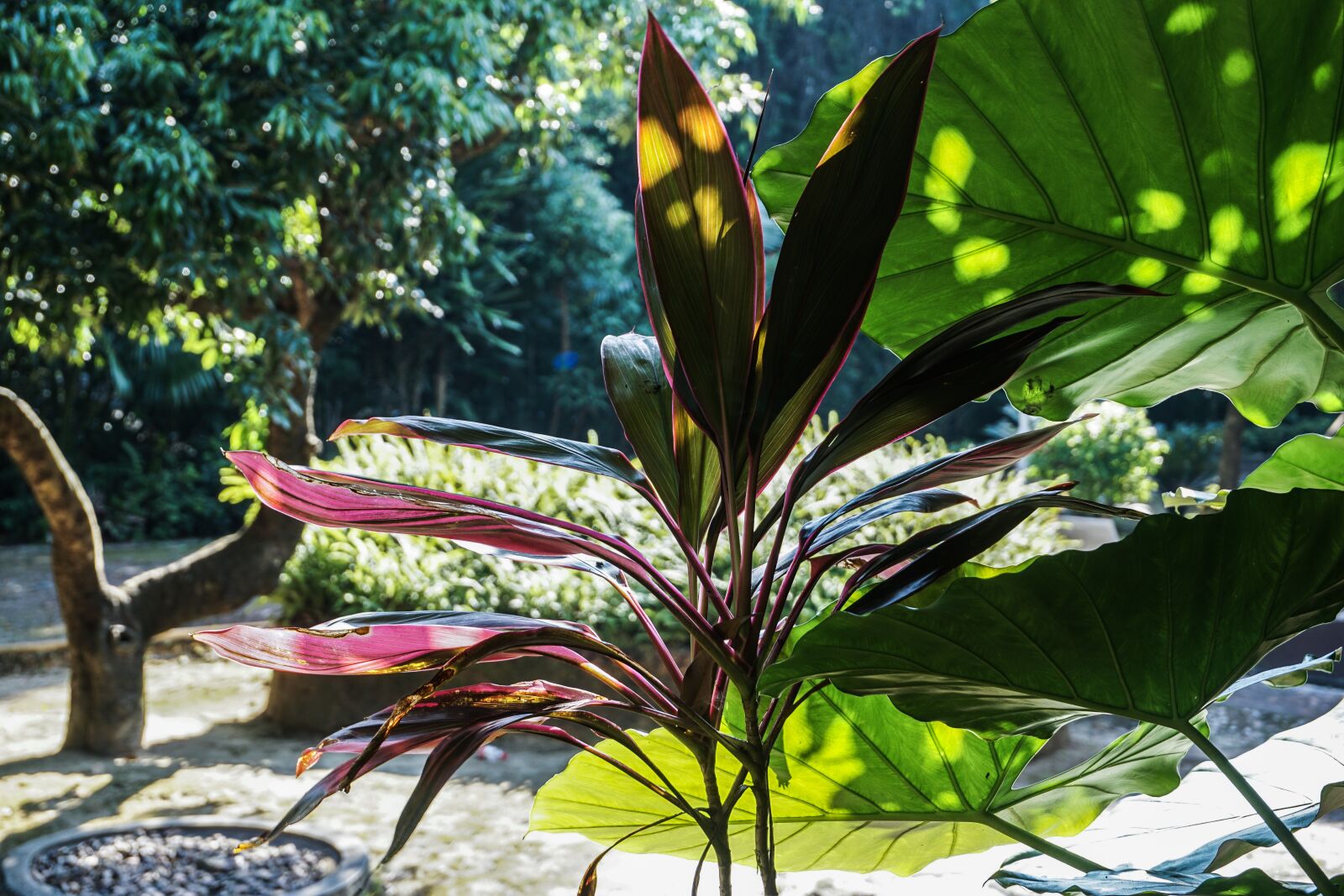 Sony a6000 sample photo